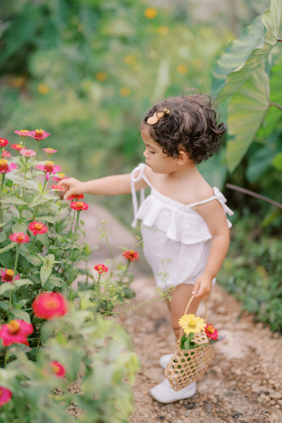 0793_carolina_pedrosa_fotografia_em_holambra