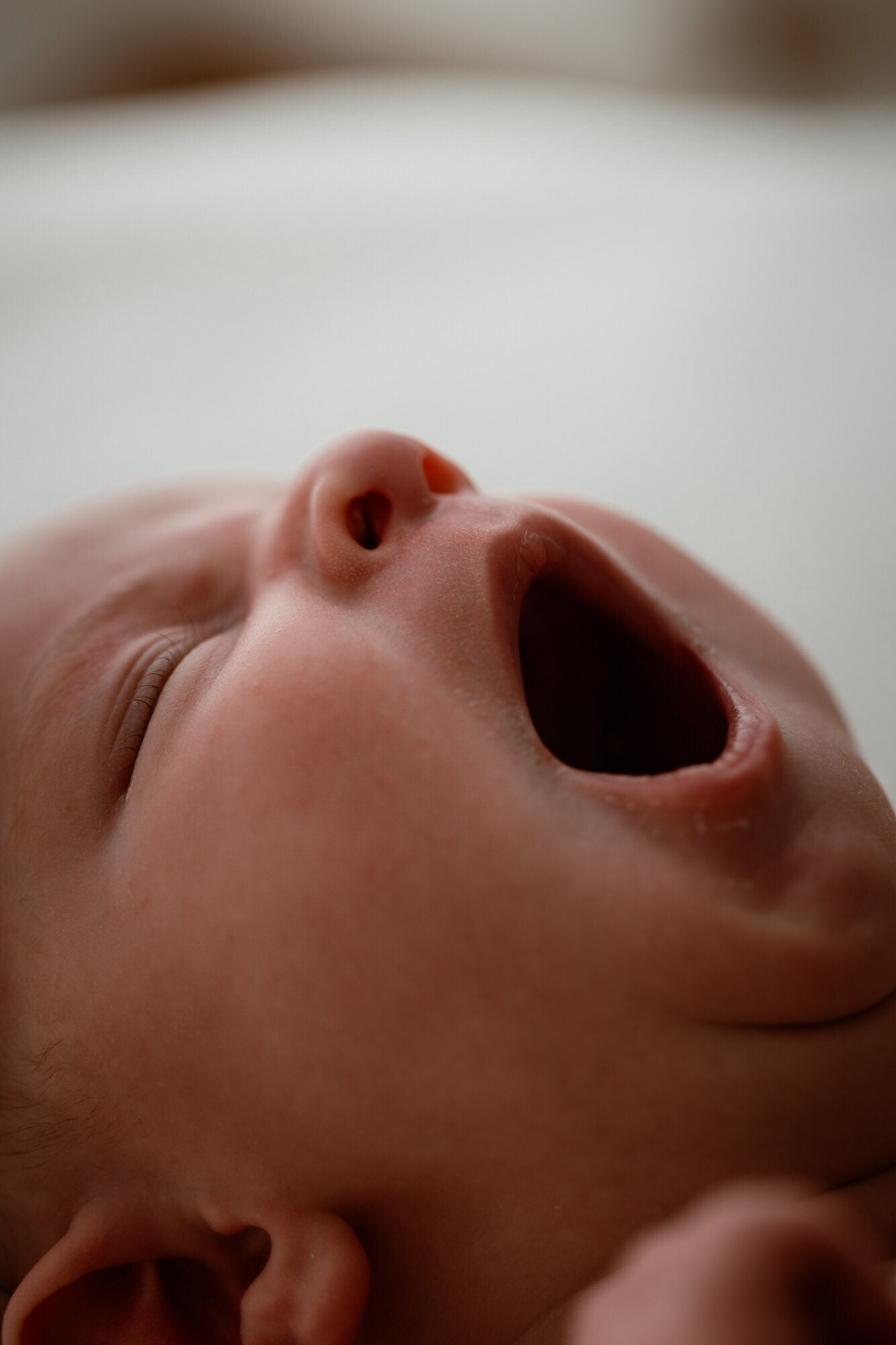 yawning baby close up from in home photoshoot brisbane