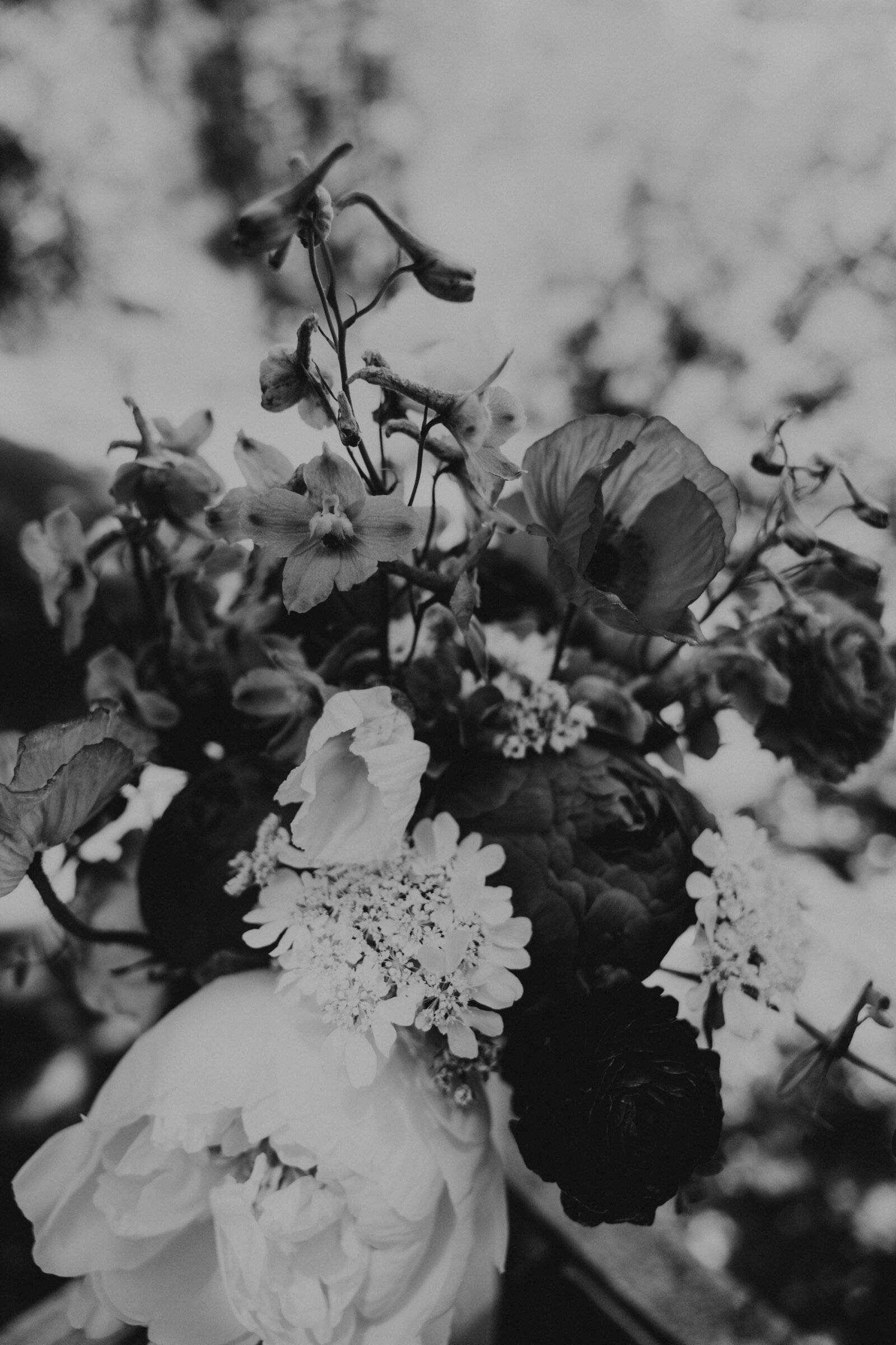 north-idaho-wedding-photography.jpg