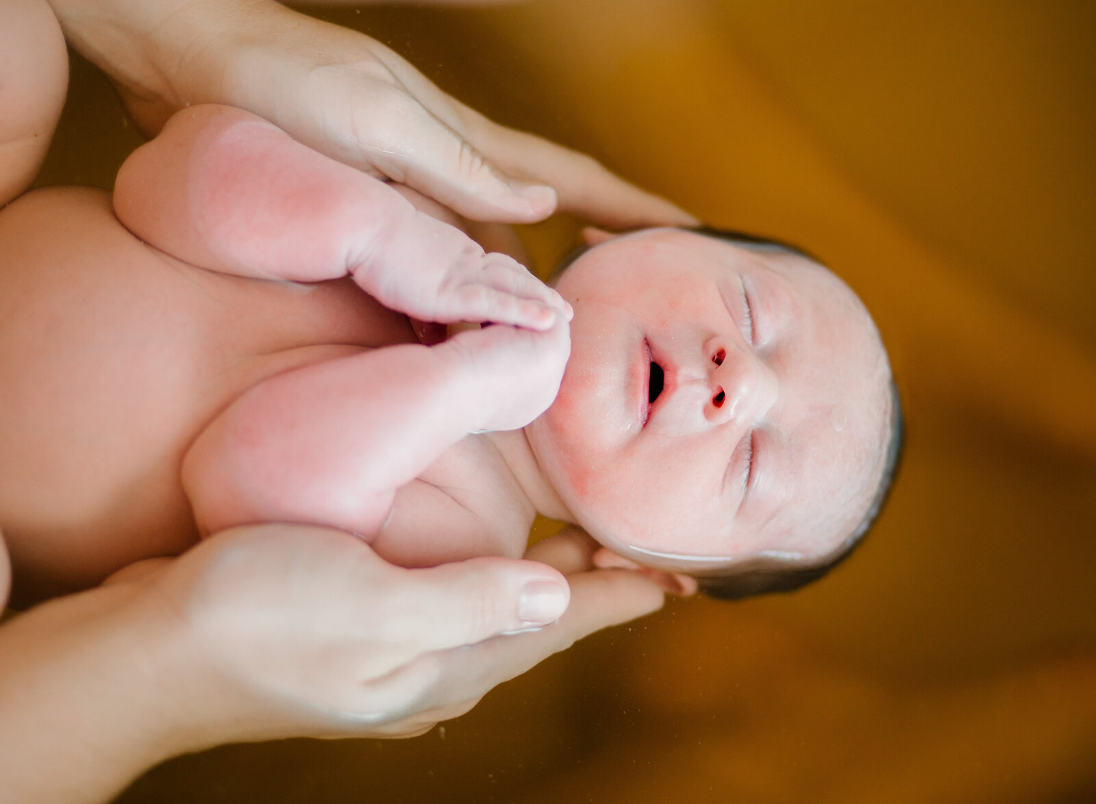 calm baby in herbal bath