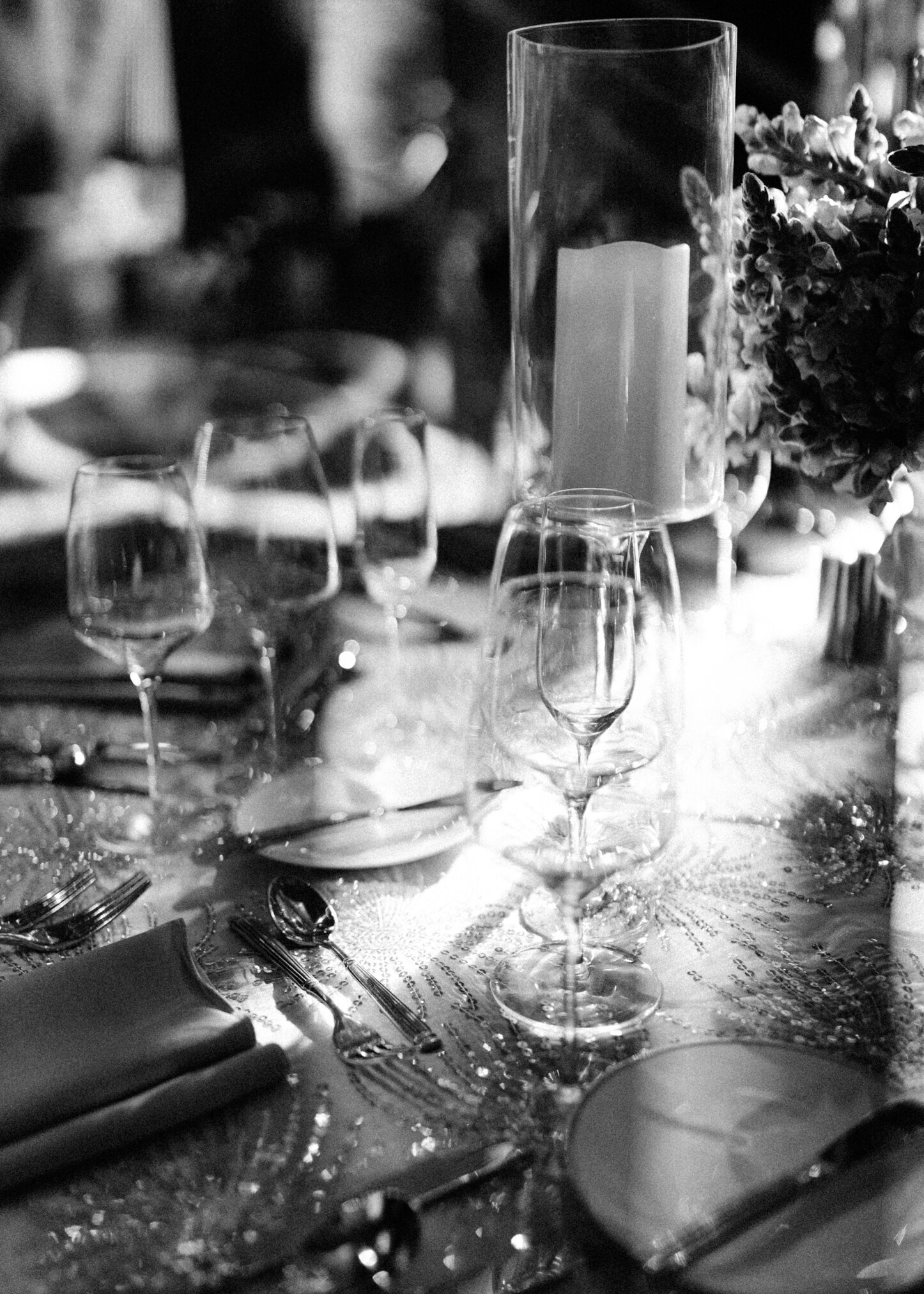 SLY_TBWGALA-5