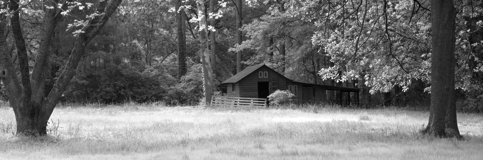 MT1_4664_infrared