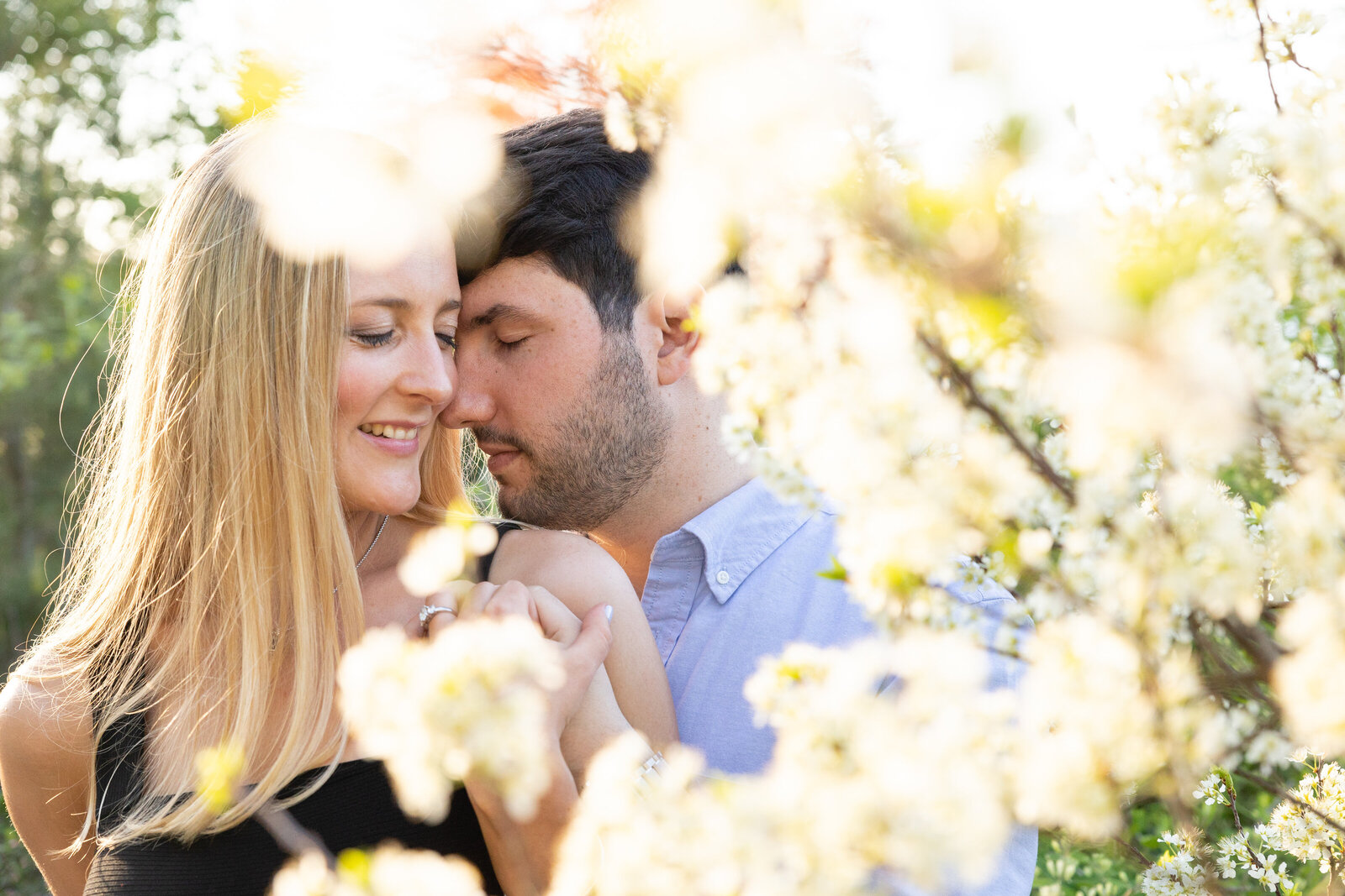 spring-engagement-couple-with-blooming-tree-lisa-gilbert-photography