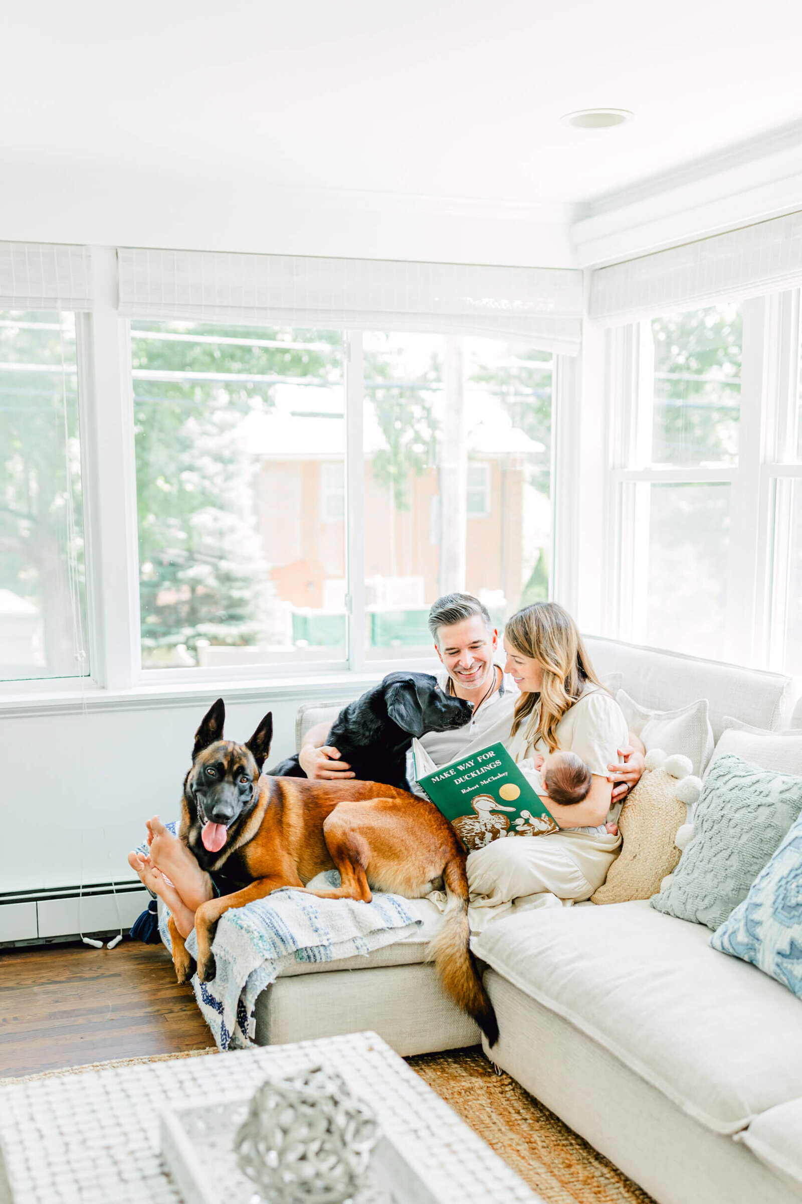 Mom and dad pet their black lab while Mom holds a newborn and a Belgian Malinois looks away