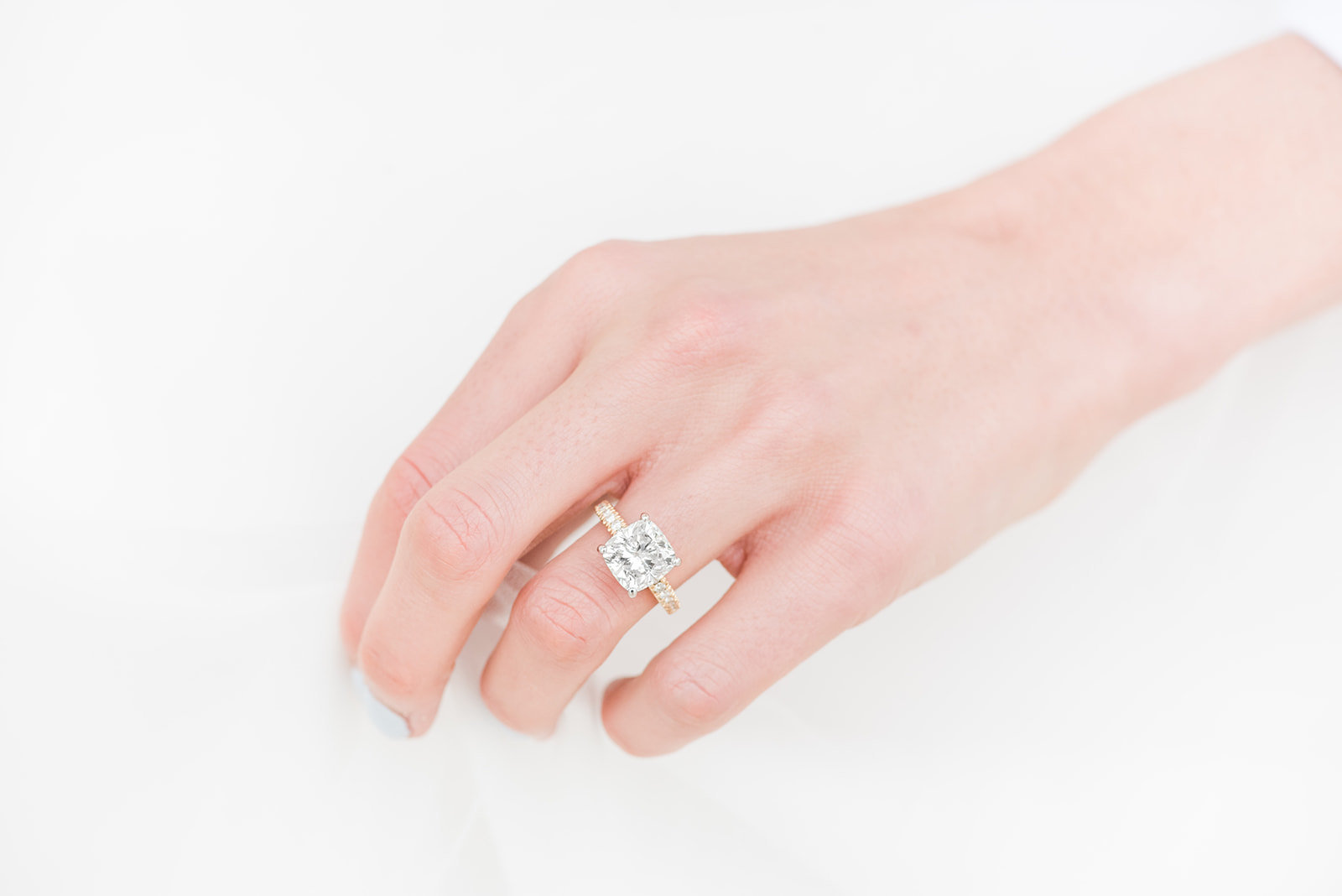 WASHINGTON_DC_CHERRY_BLOSSOMS_L+EJOFFOTO_-150