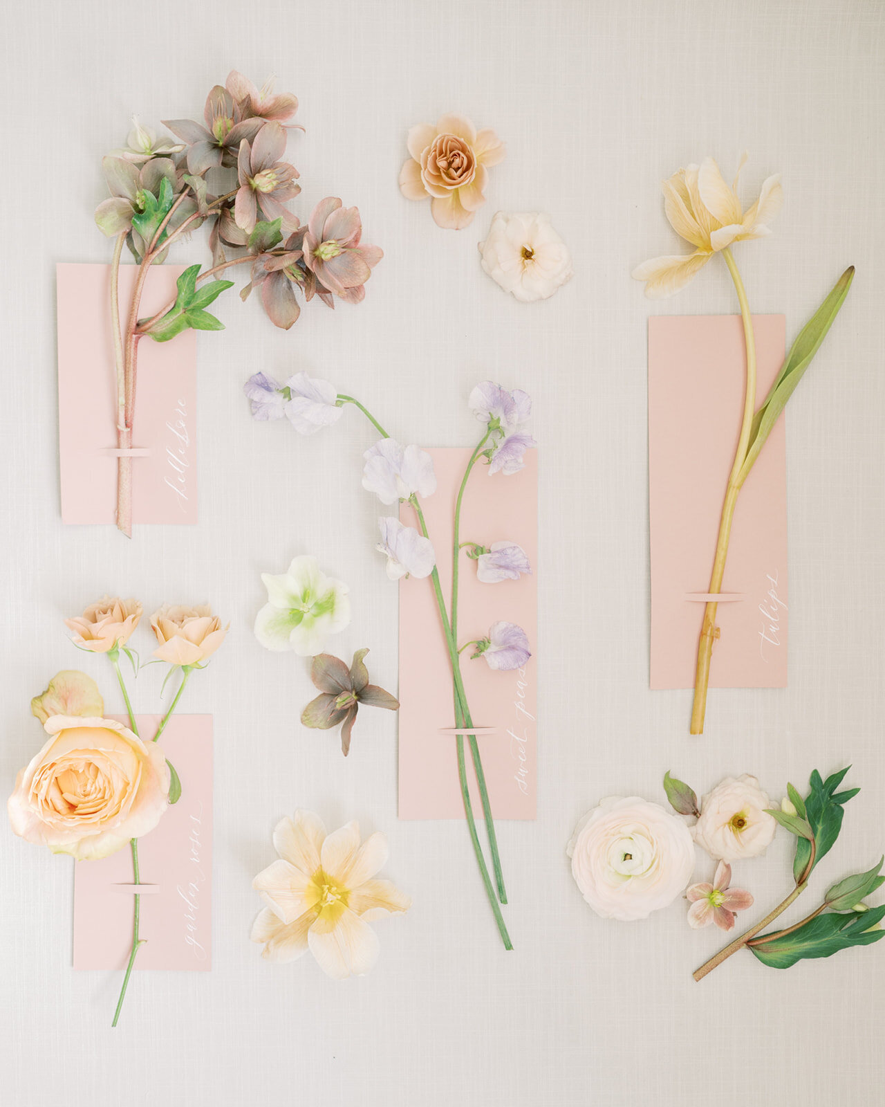 2022.02.19_AlexisRahulStyledShoot-01