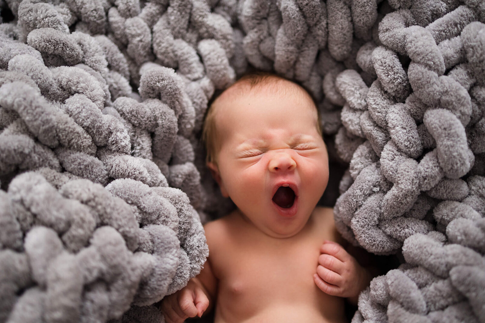 Minneapolis Newborn Girl Photography