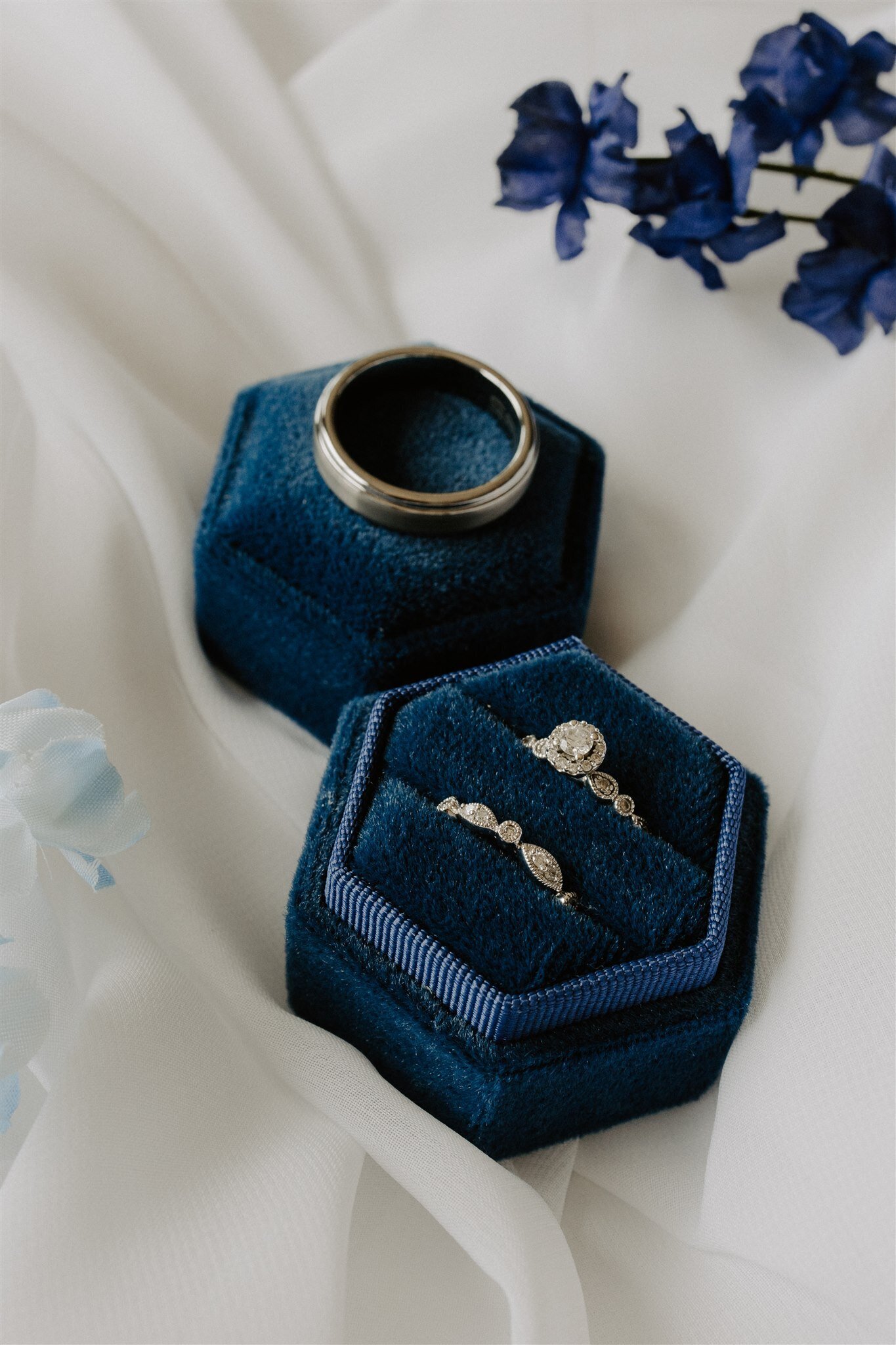 rings 2