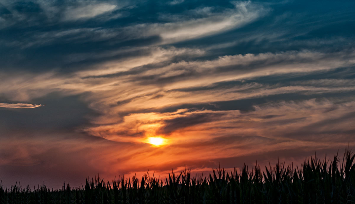 Centrall Illinois Sunset