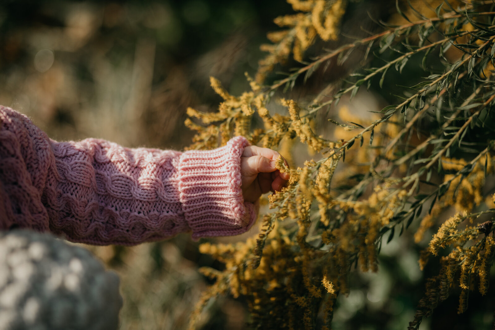 A small hand reaches out to pick yellow flowers
