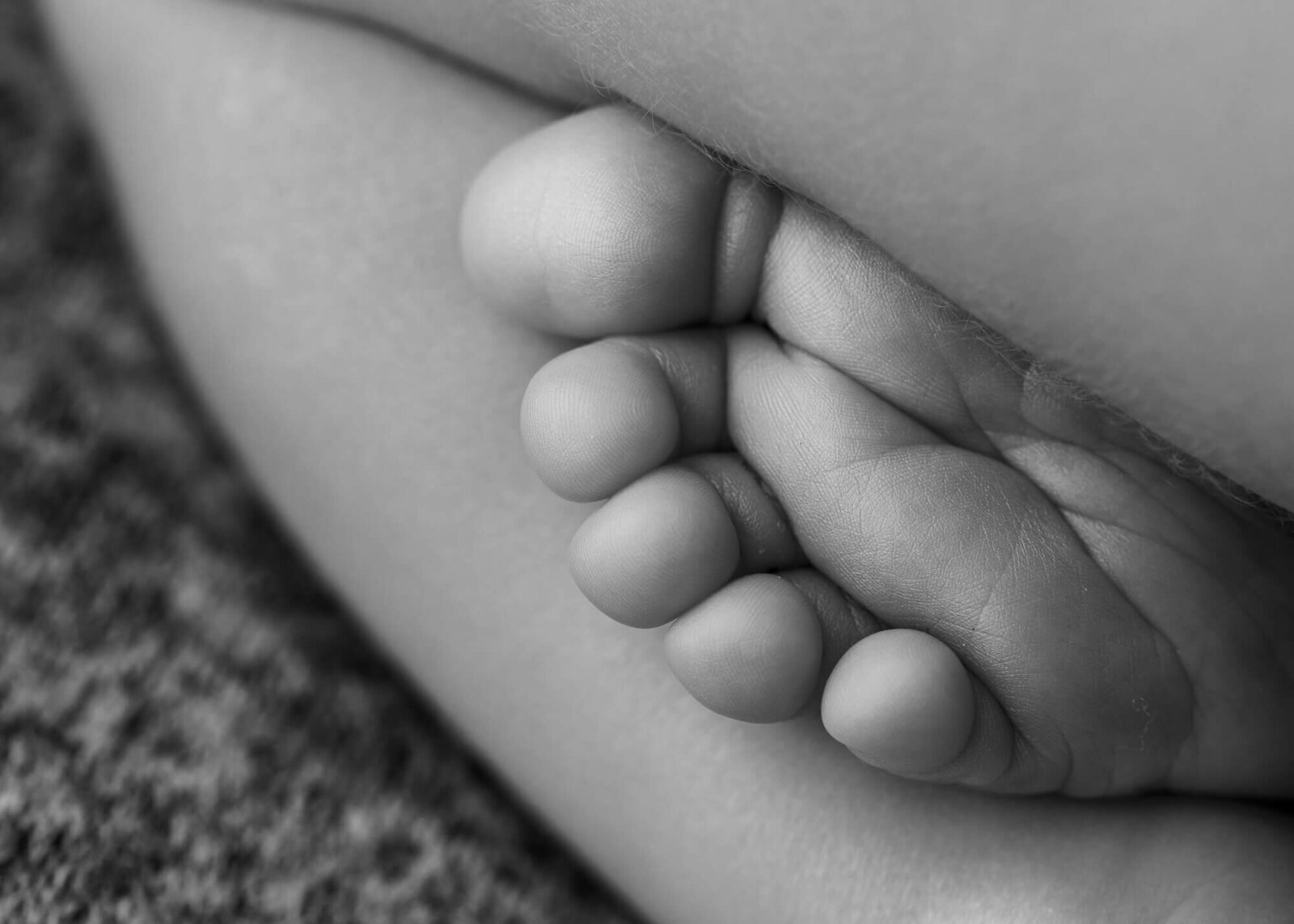 Macro image of baby toes peeking out