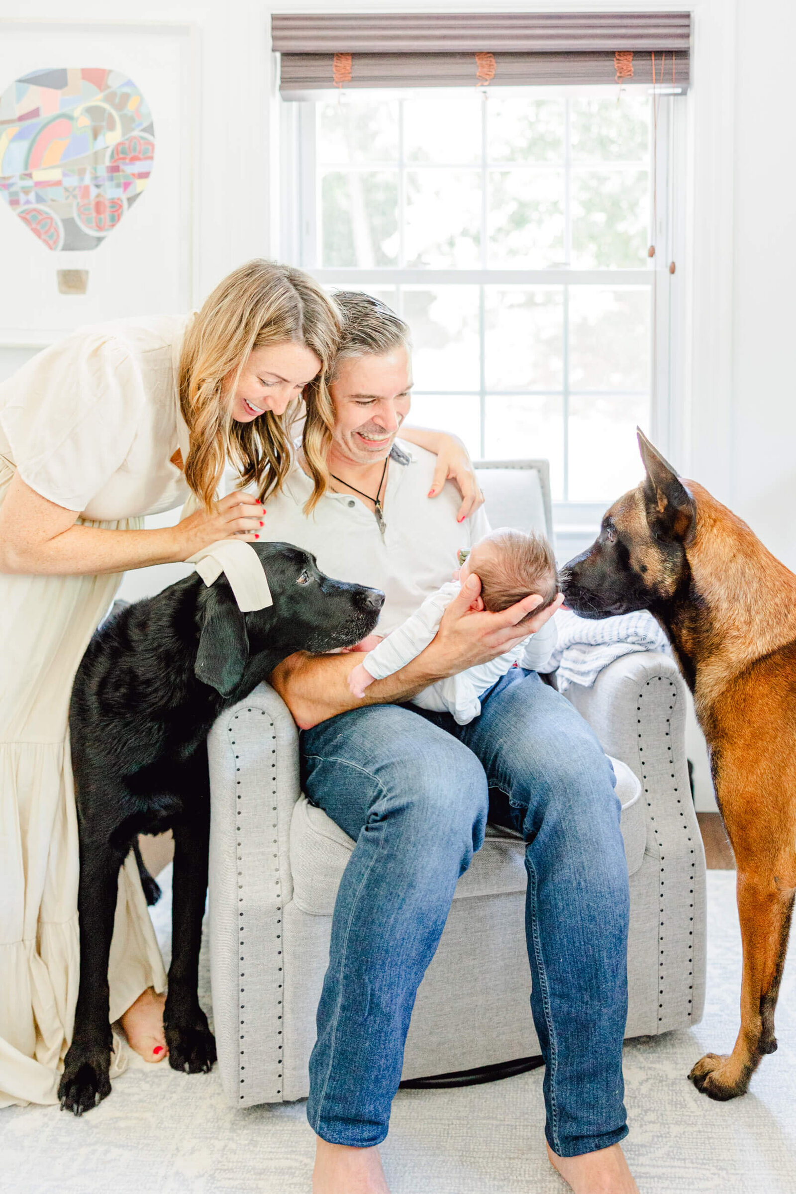 Two dogs look at newborn while dad smiles at the baby and mom laughs at the dogs