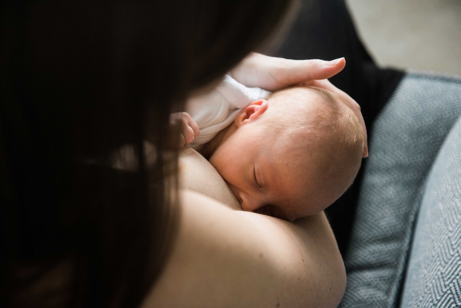 Newborn_Photography_Fairfax_Virginia_Minikin_Photography_1