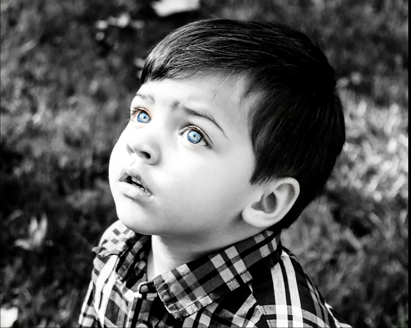 black and white photo of a young boy looking up at the sky photographed by Millz Photography in Greenville, SC