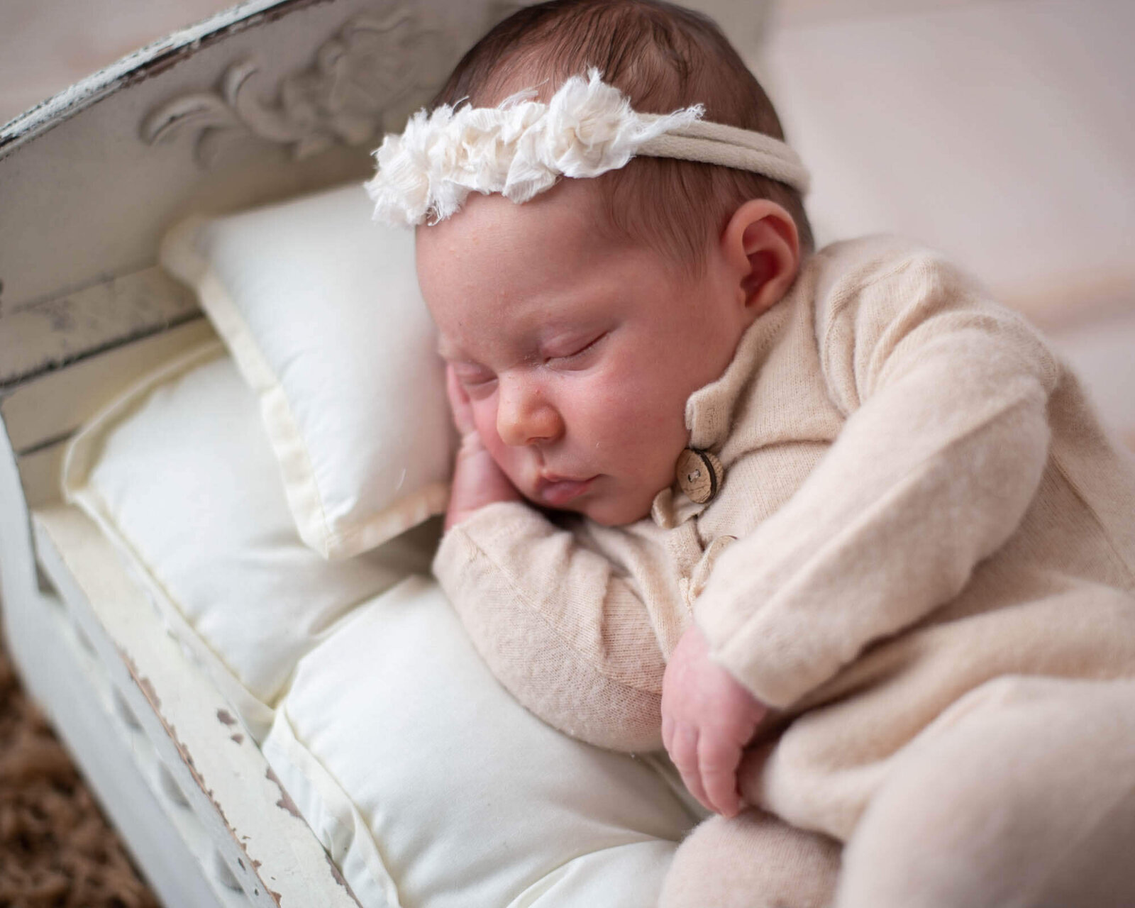 newborn photos cozy