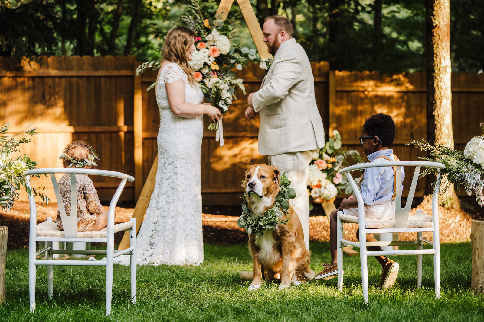 dog stares at camera during backyard wedding