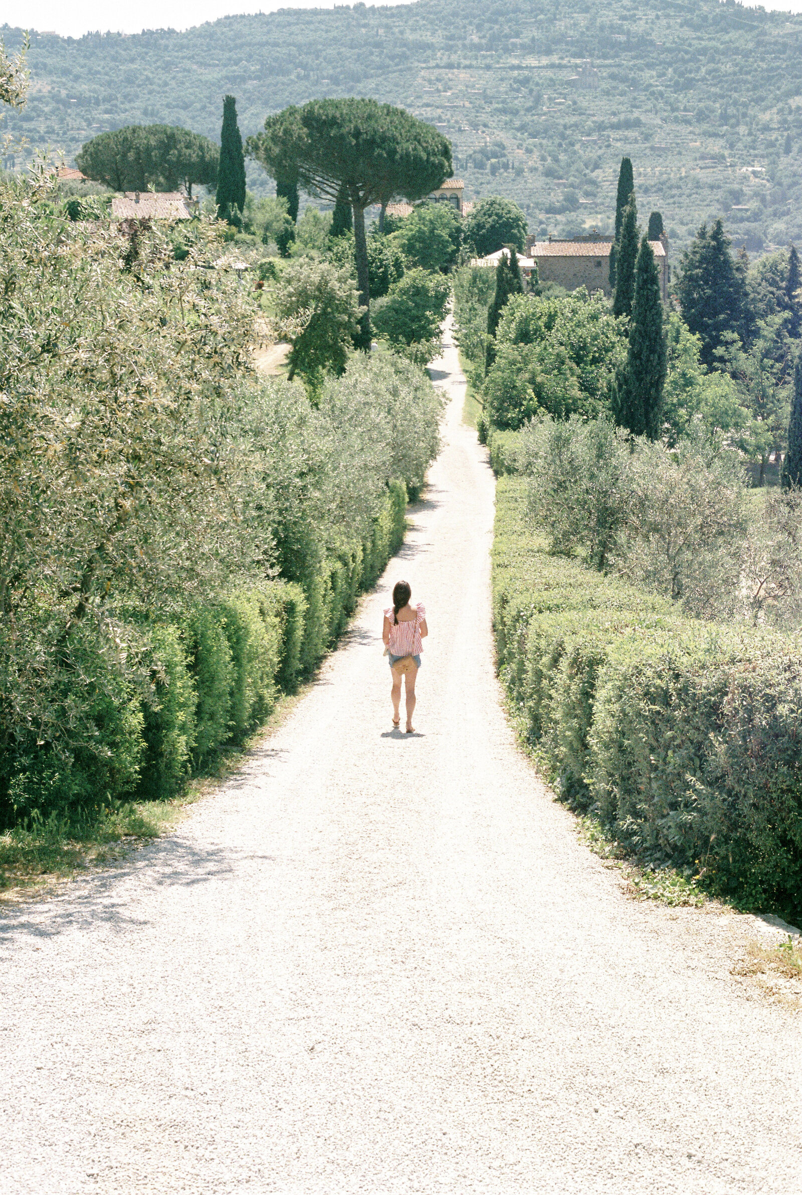 Cortona