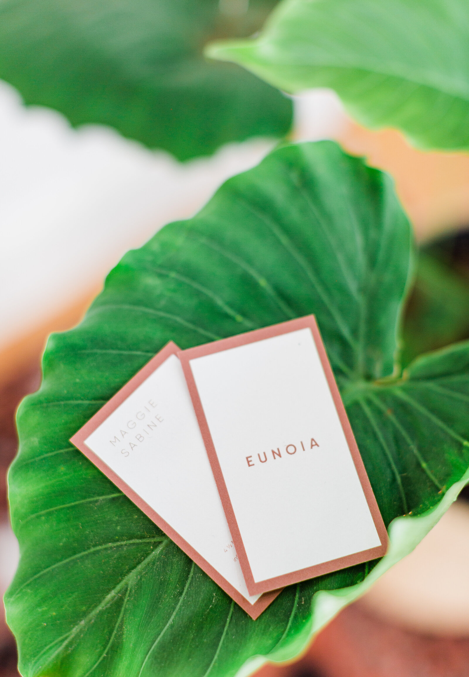 eunoia-thelibbys-12