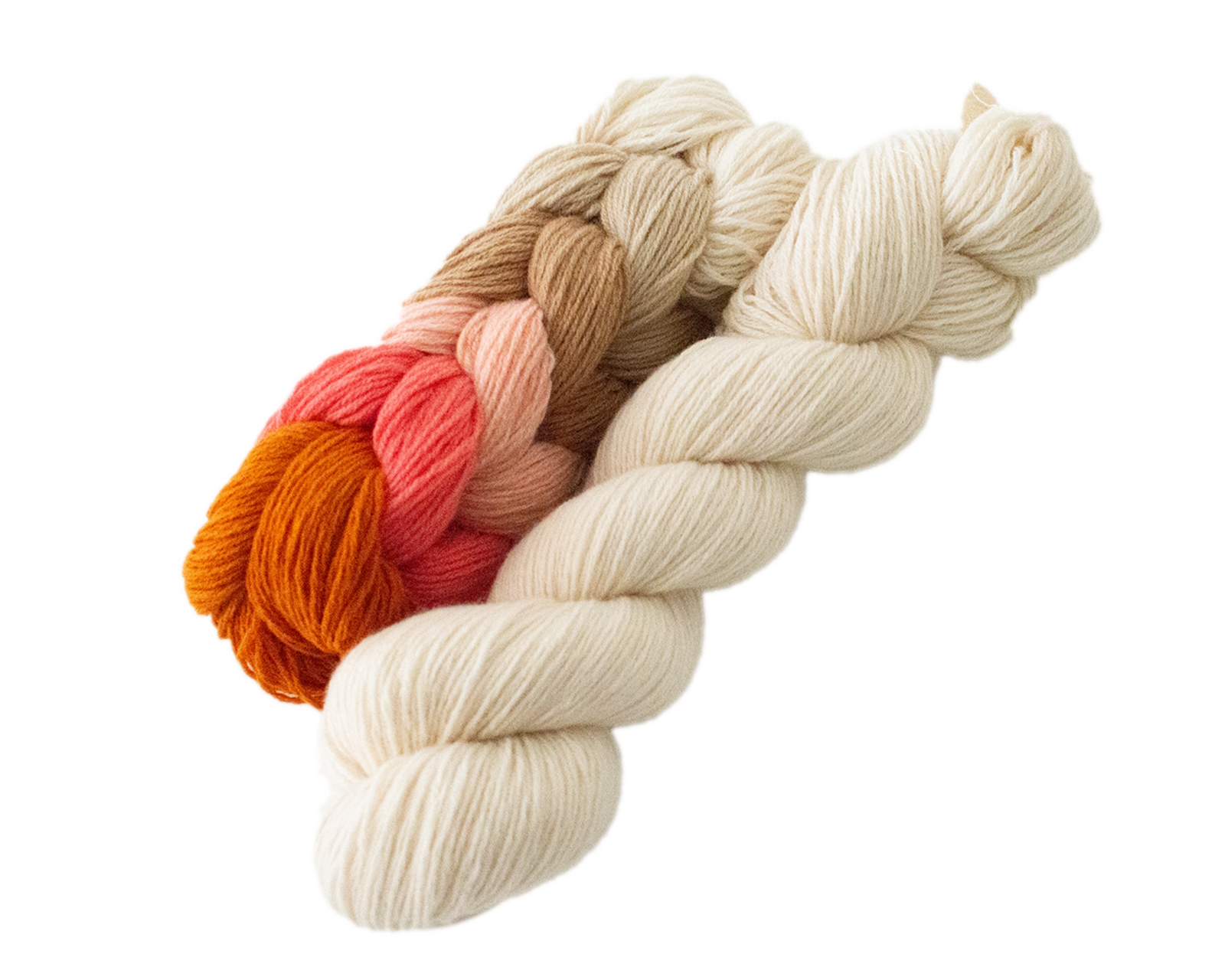 FSB Beach Picnic Sand Dollar