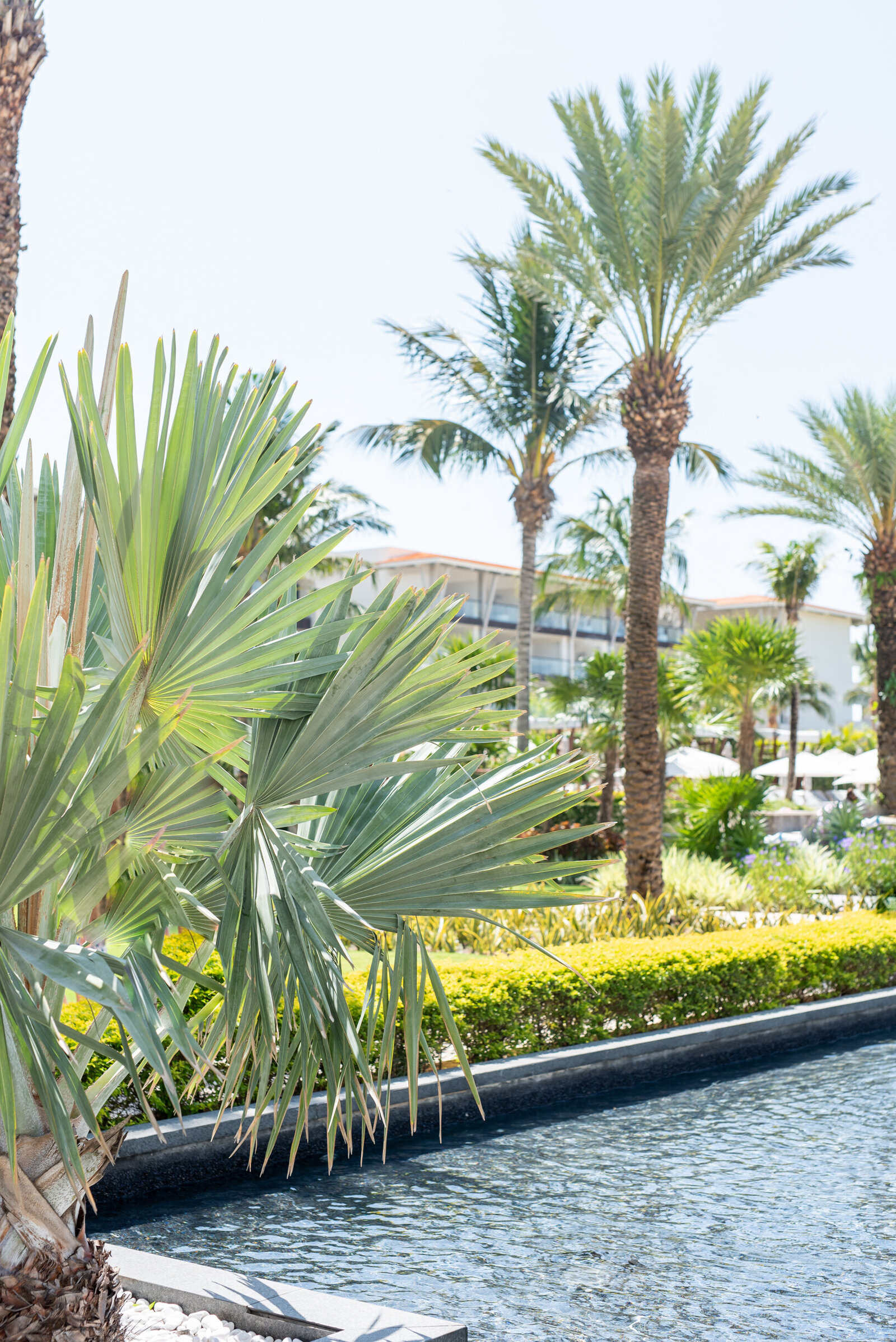 outdoor beach wedding