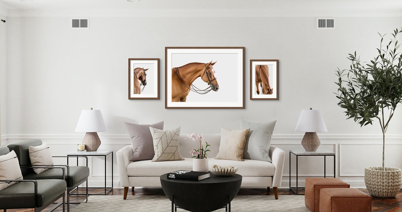 Equine Wall Gallery