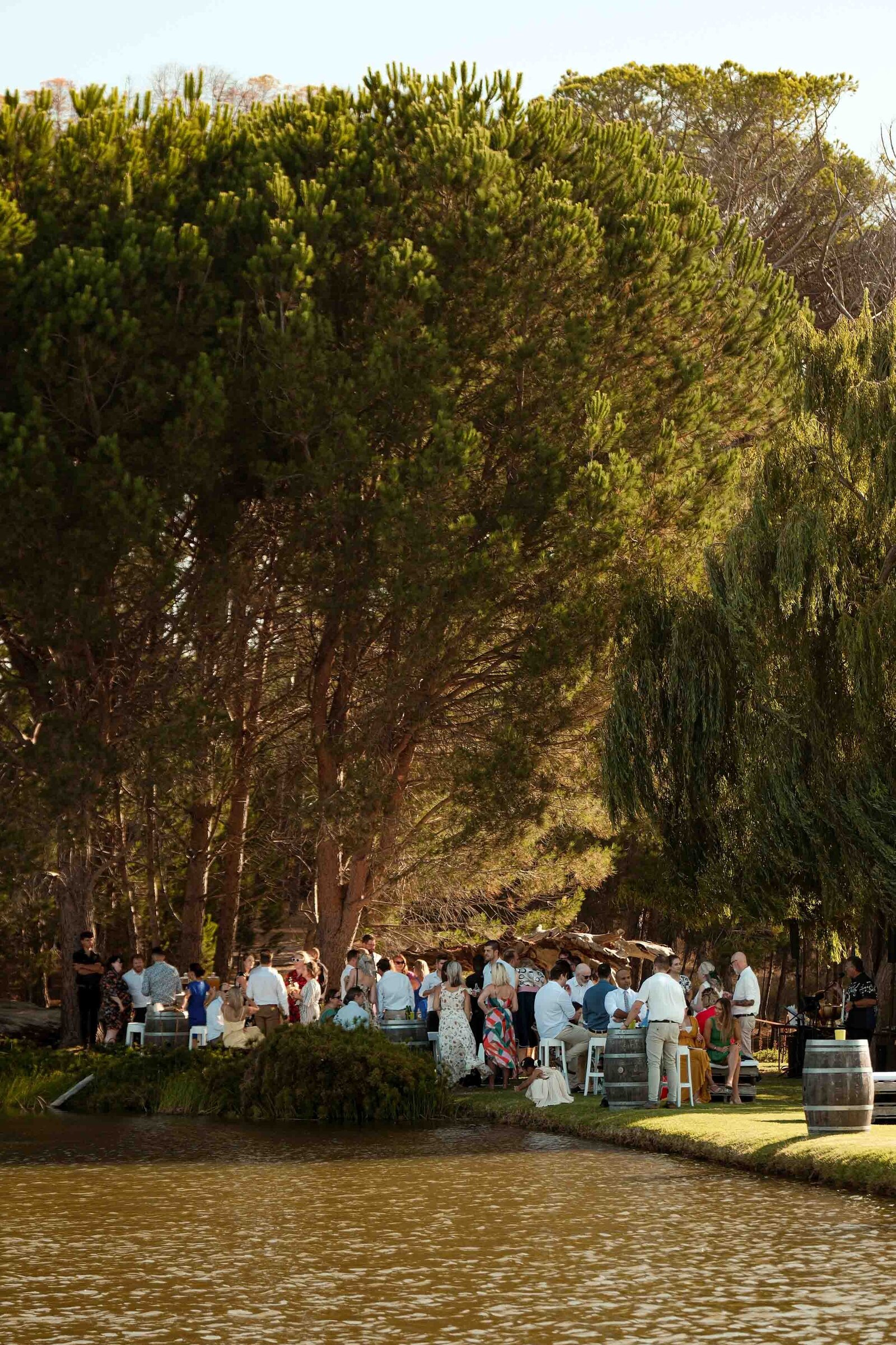 Destination-Wedding-Photographer-Cape-Town-FOMO-Fotografie-137