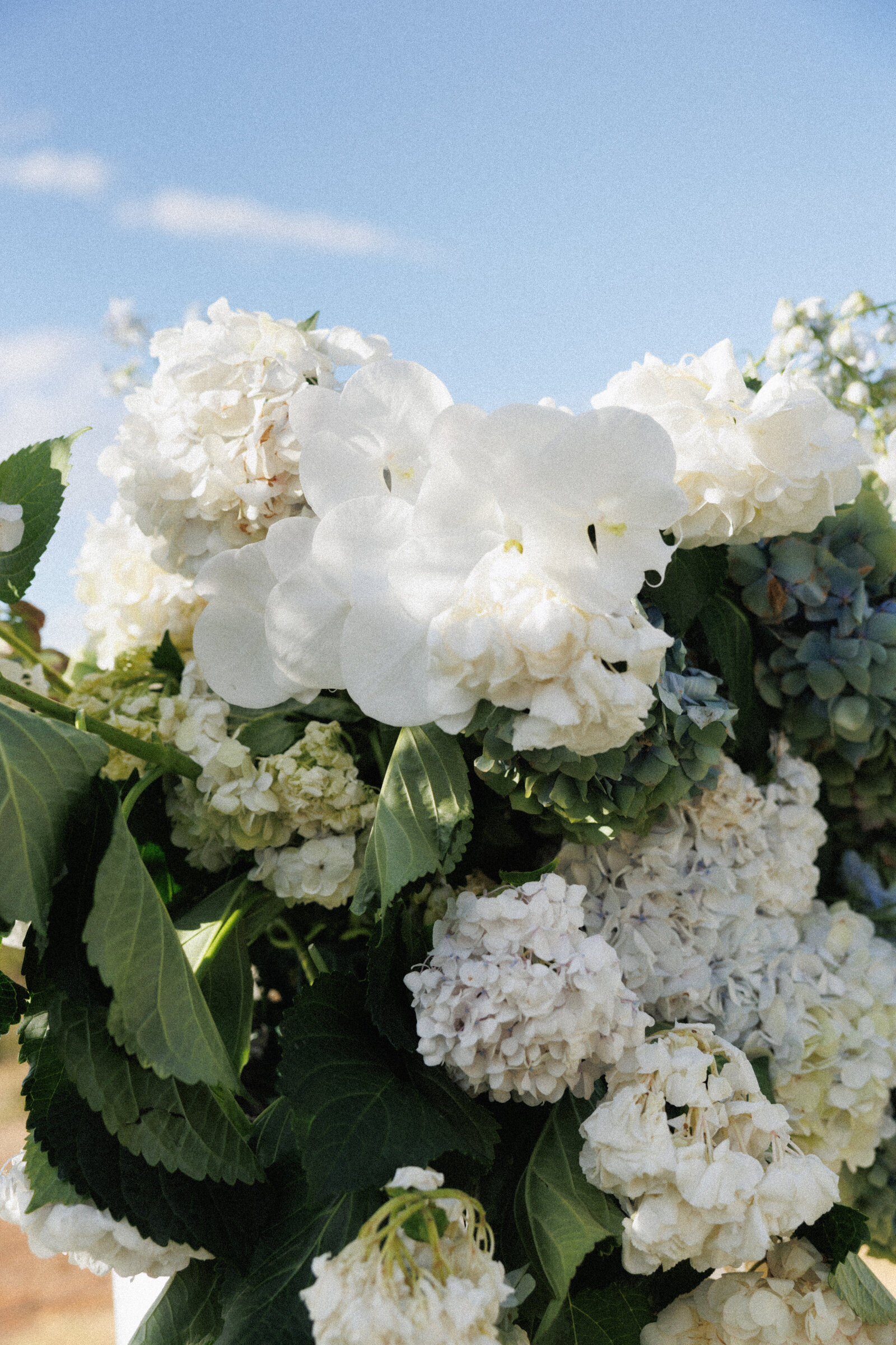 adelaide-wedding-photographer-florist