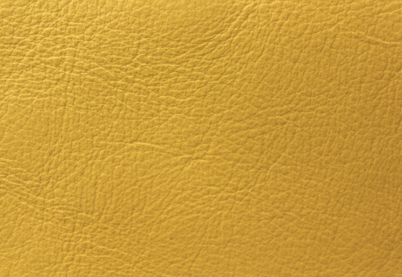 Amadeus Canary Leather