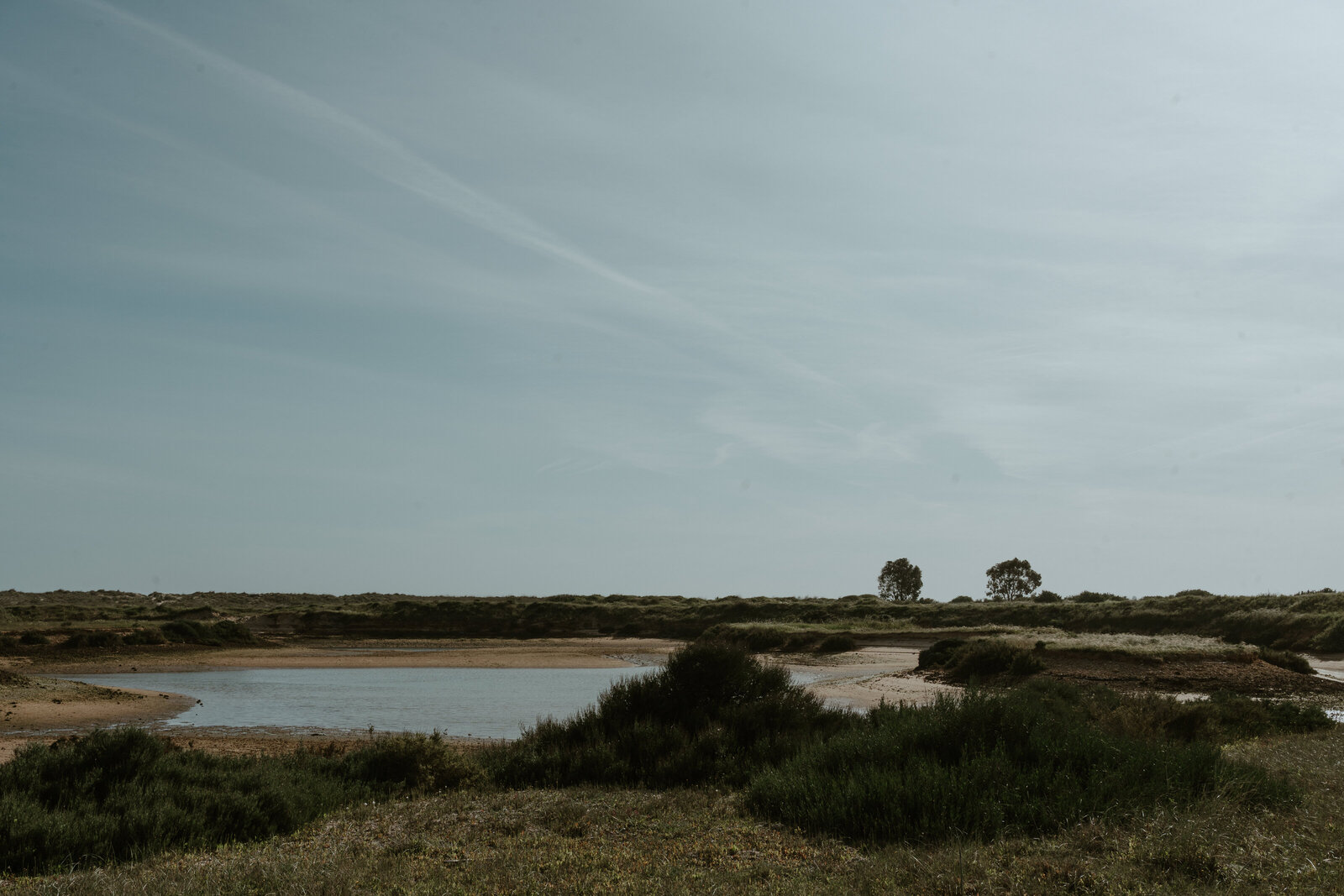 stefaniedewelphotography-11 75