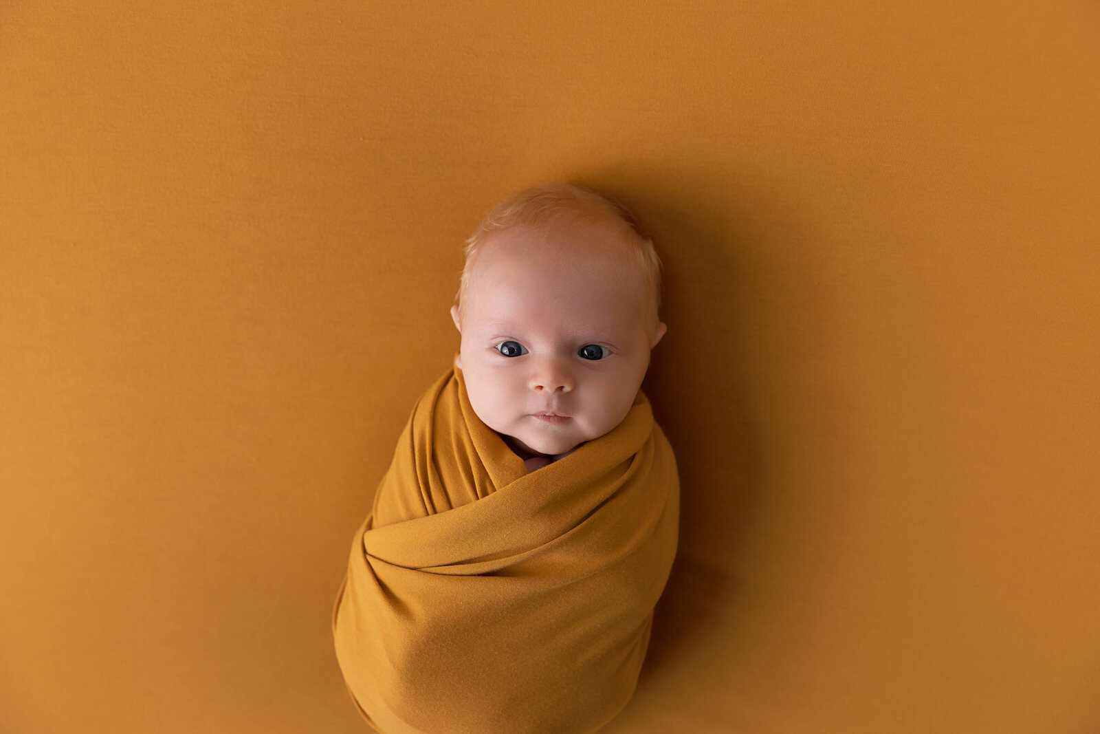 Abbotsford-Newborn-Photographer-110