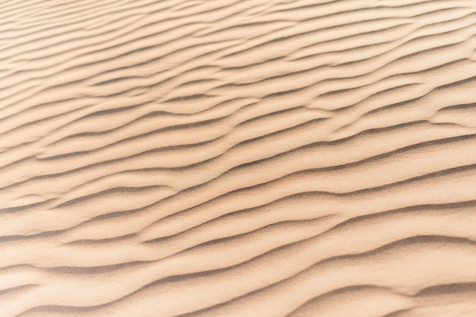 Brand-Photoshoot-Glamis-Sand dunes-San-Diego-010