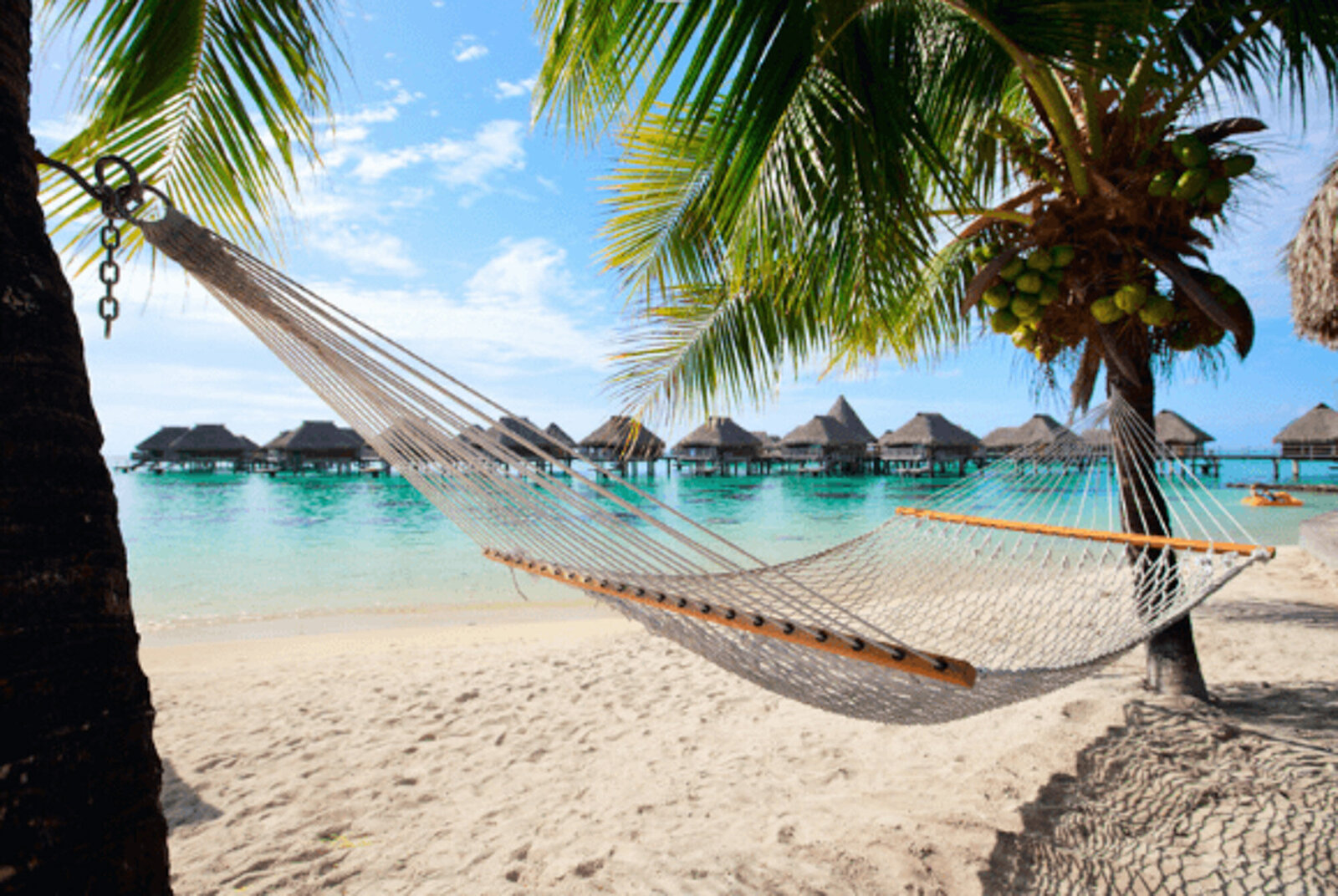 A hammock in front of the beach