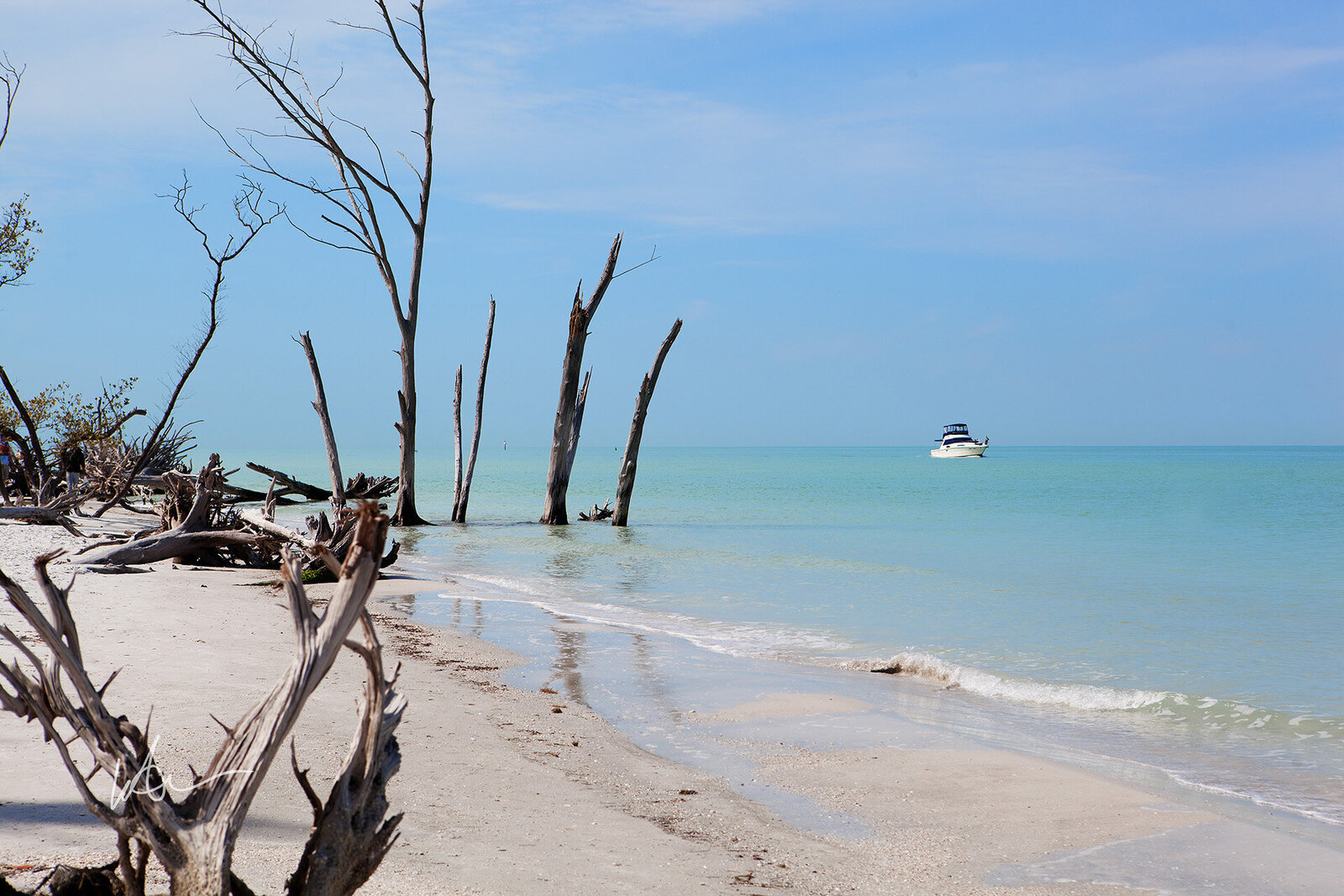 Beer Can Island Florida