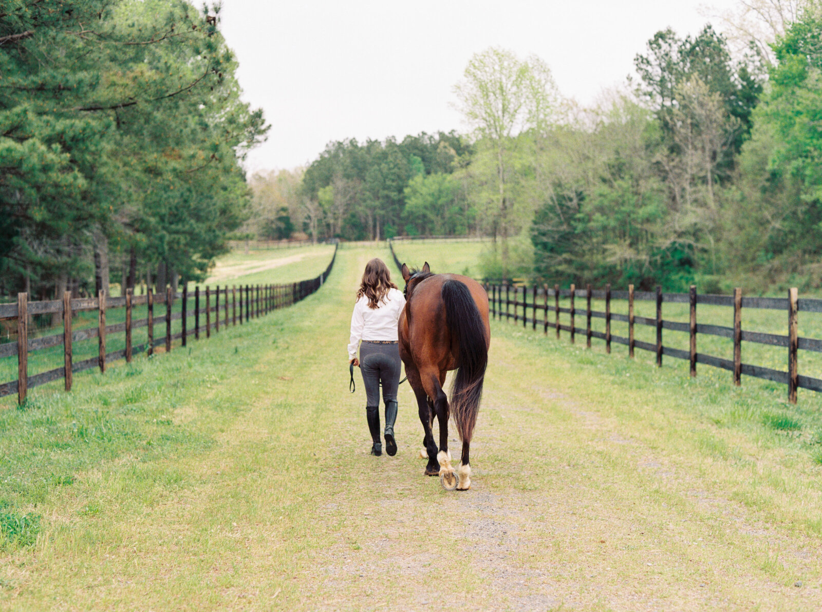nc-equestrian-photographer-daniellejamesstudios-4
