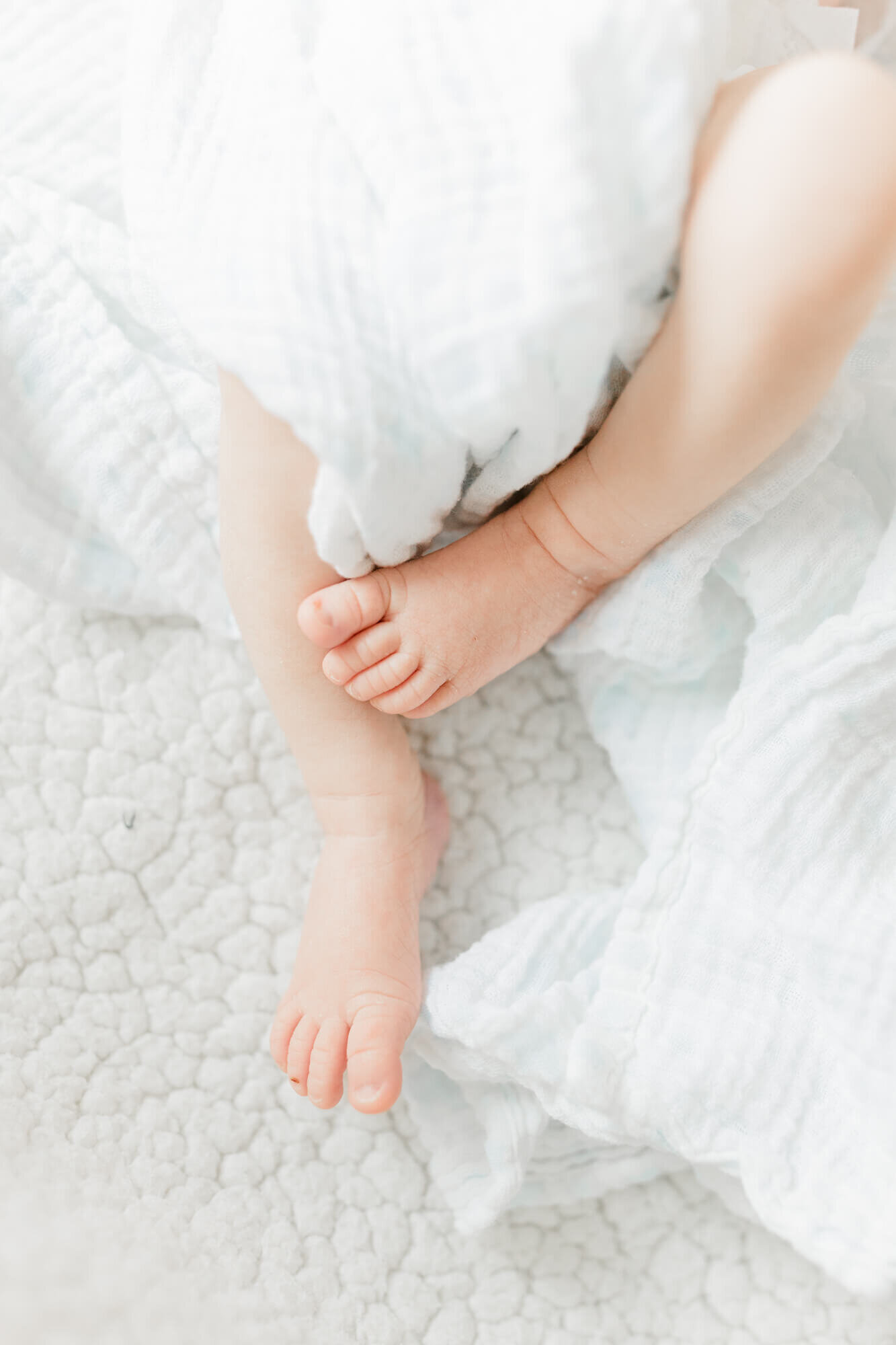 Newborn baby's feet