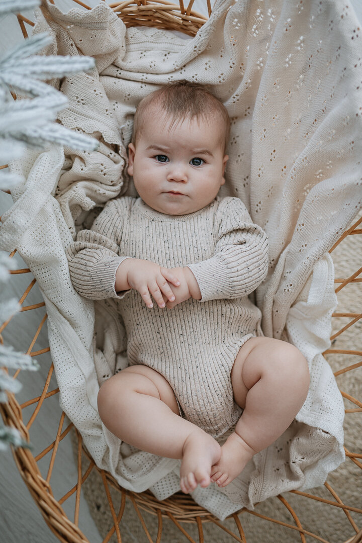 hampshire christmas family photographer (1)