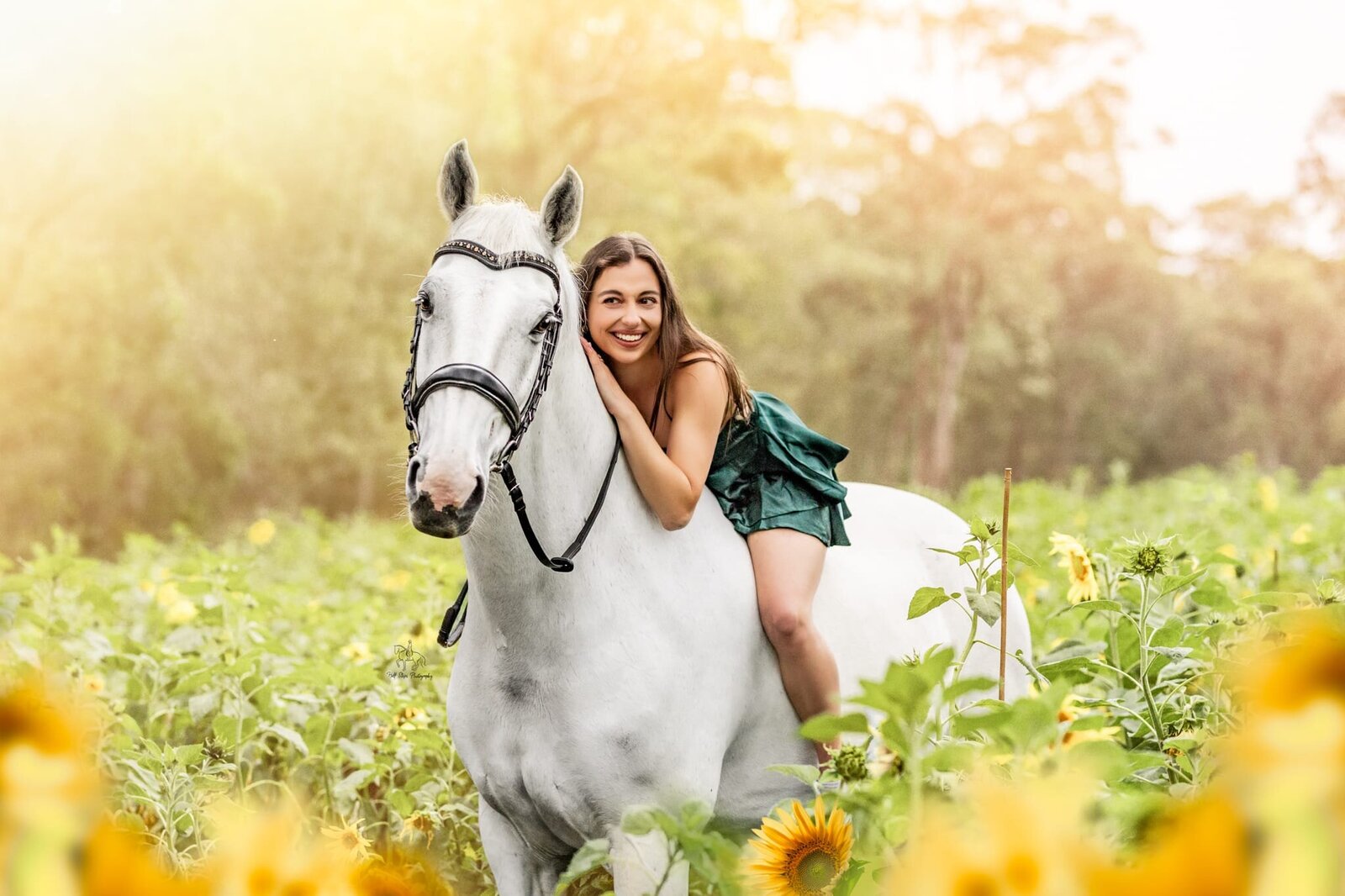 (22) Sydney Sunflower Equine Photoshoot