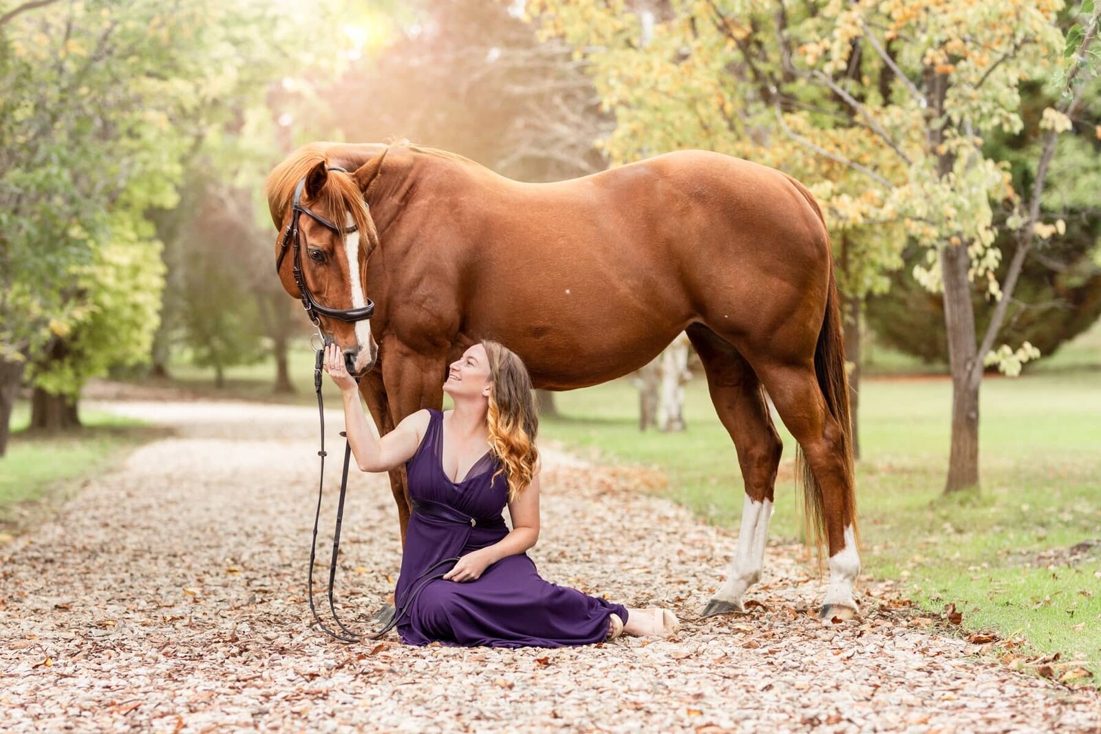 (7) Blue Mountains horse and rider portraits