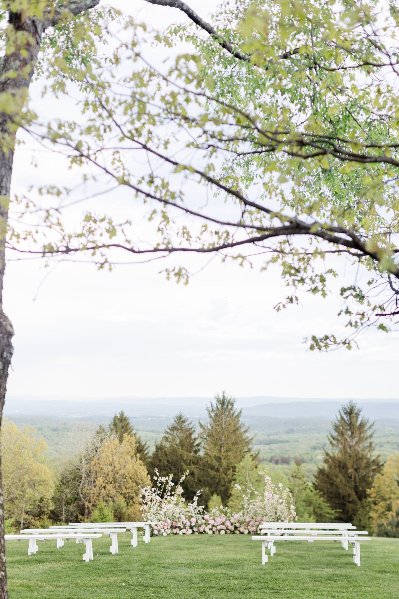 Cedar Lakes Estate Sneaks-75