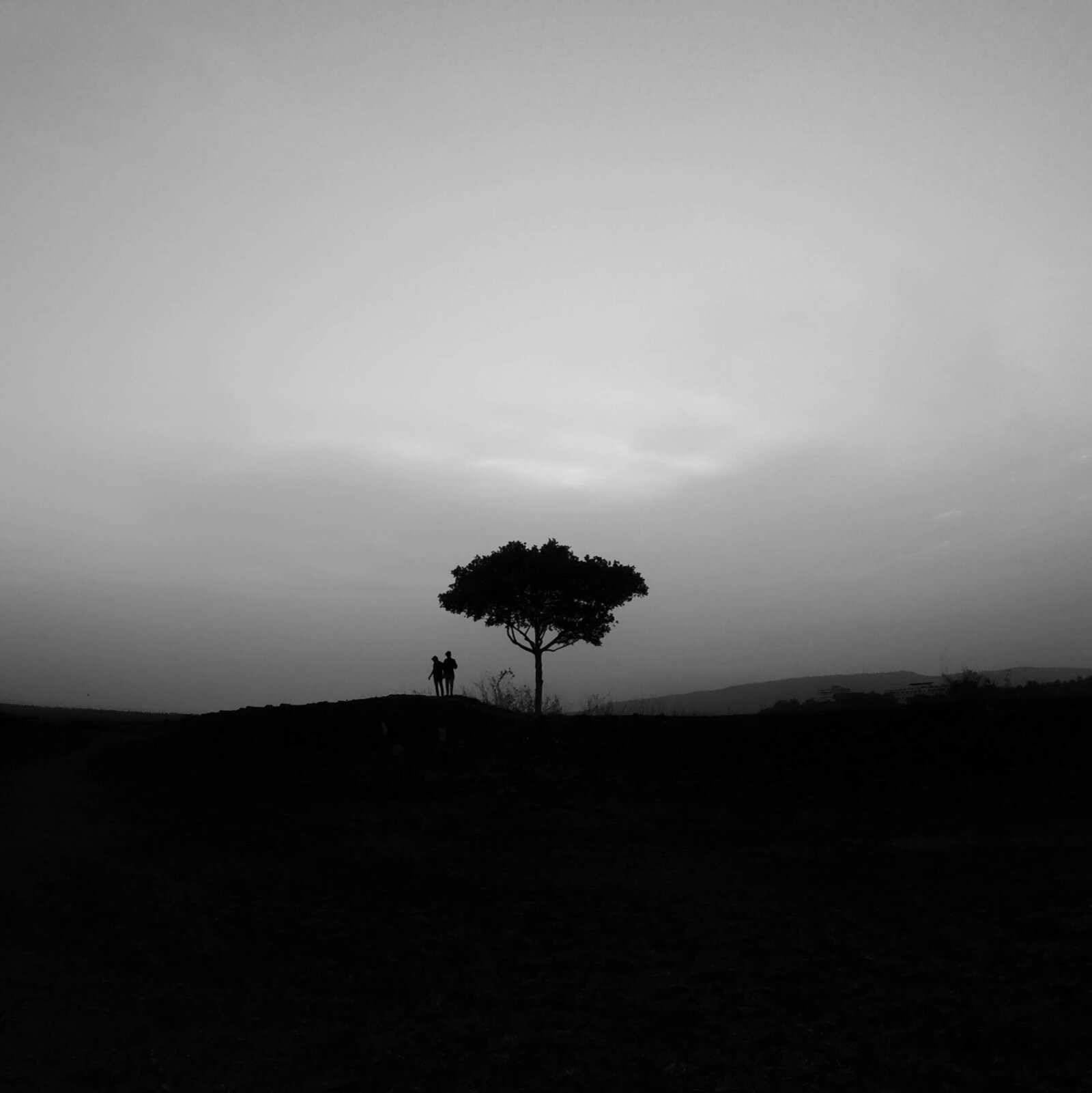 ananthu-ajayan-2Jy-l1dILlM-unsplash