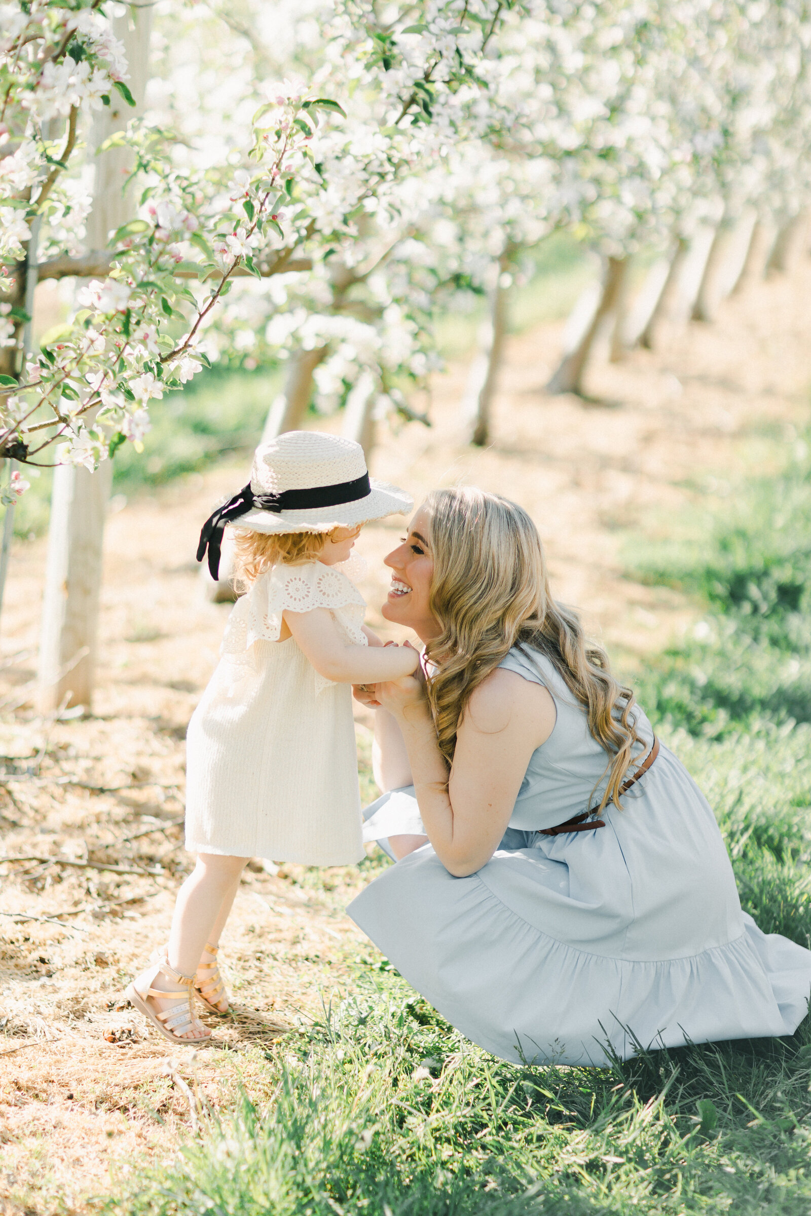 Terri-Lynn Warren Photography Halifax Family Photographer Apple Blossom Minis-1646