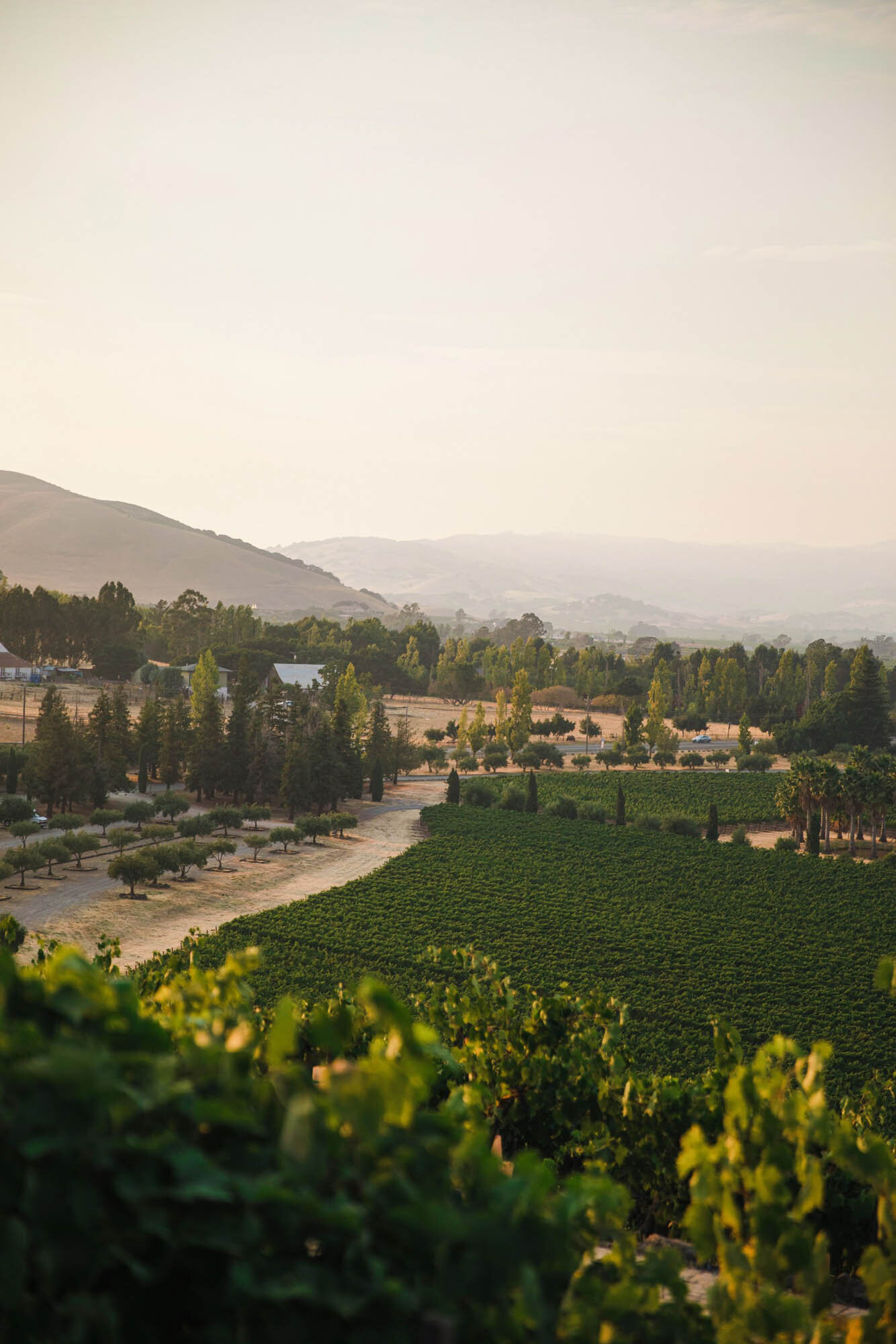 sikh-wedding-sangeet-sonoma-napa-california-02