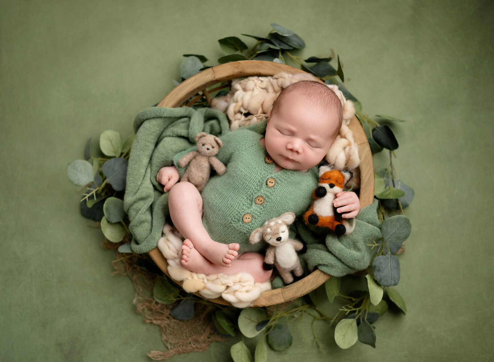 in home newborn photography near me