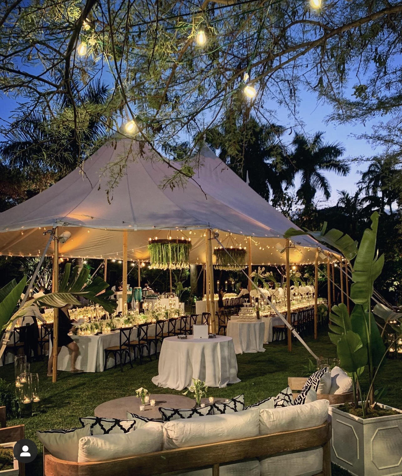 Molly+Ryan(Harpers)058