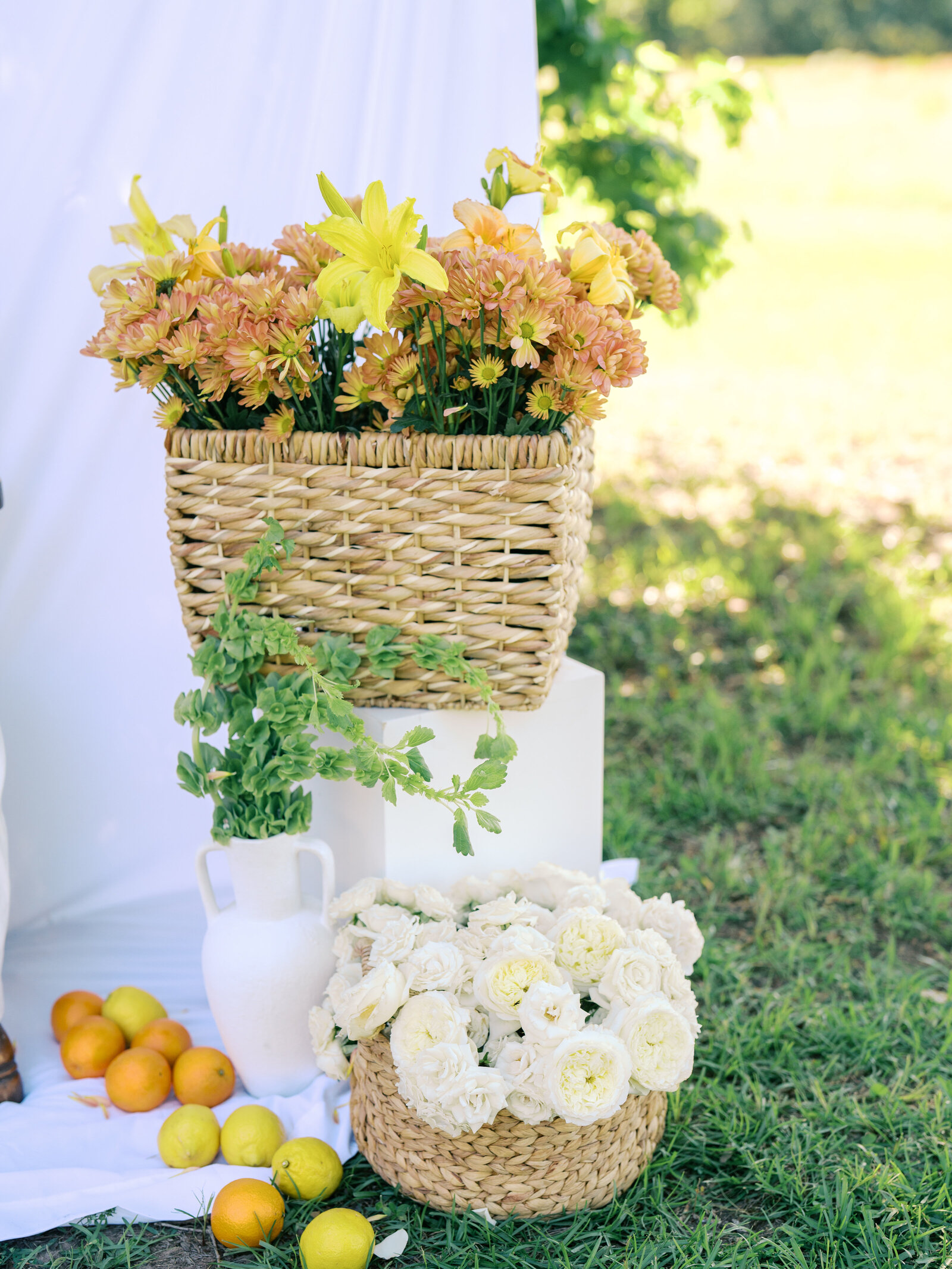 3-Harpers-AngelinaLoretaPhotography-103