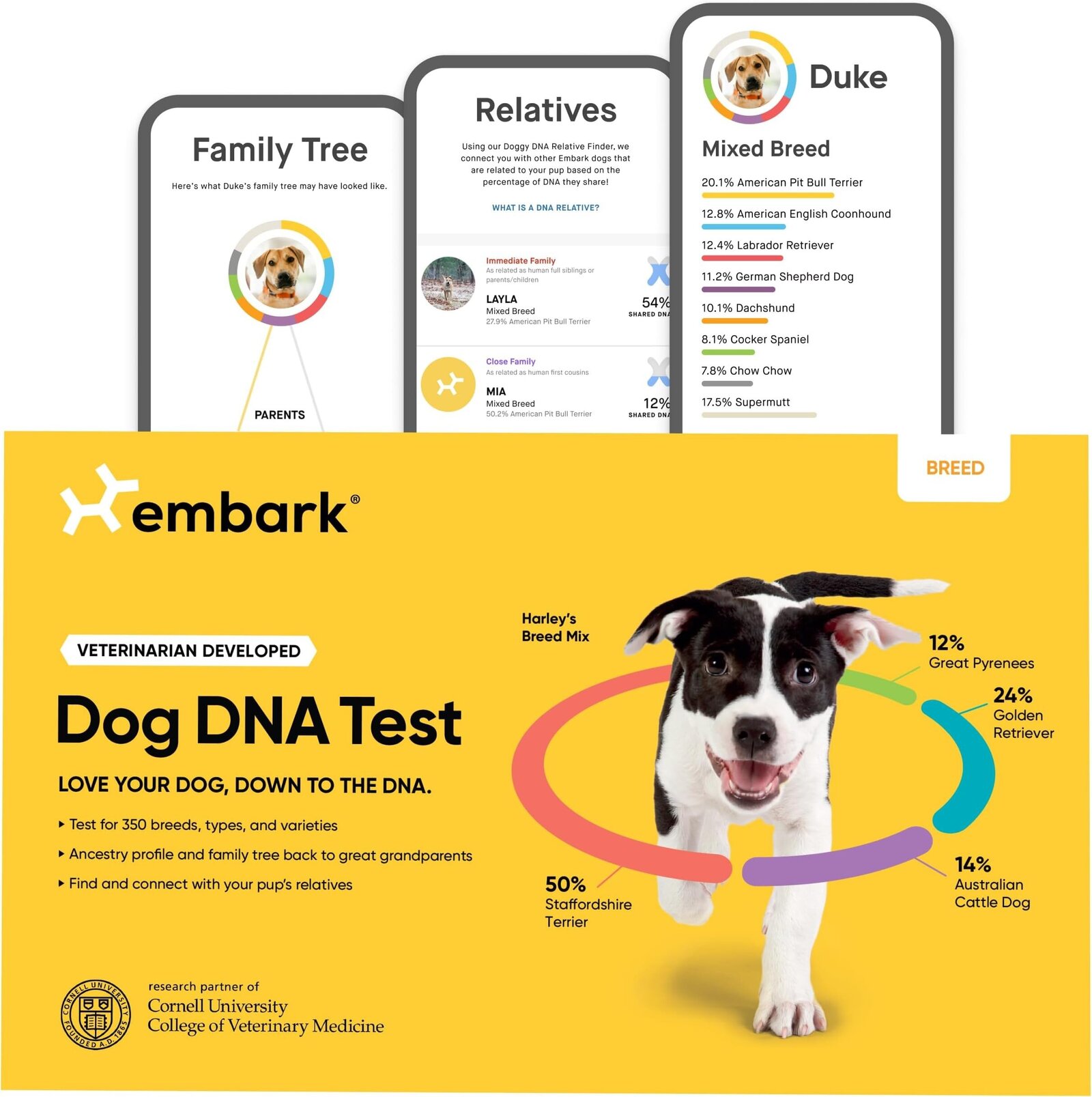 Most Accurate Dog DNA Test