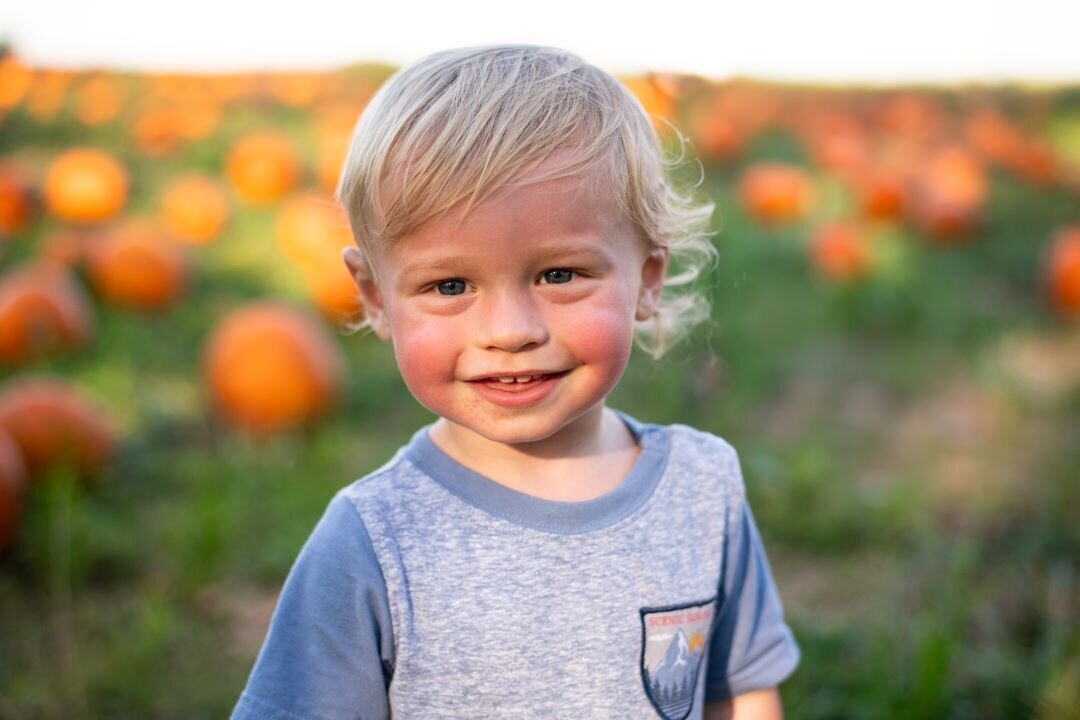 Pumpkin_Patch_Pigeon_Forge