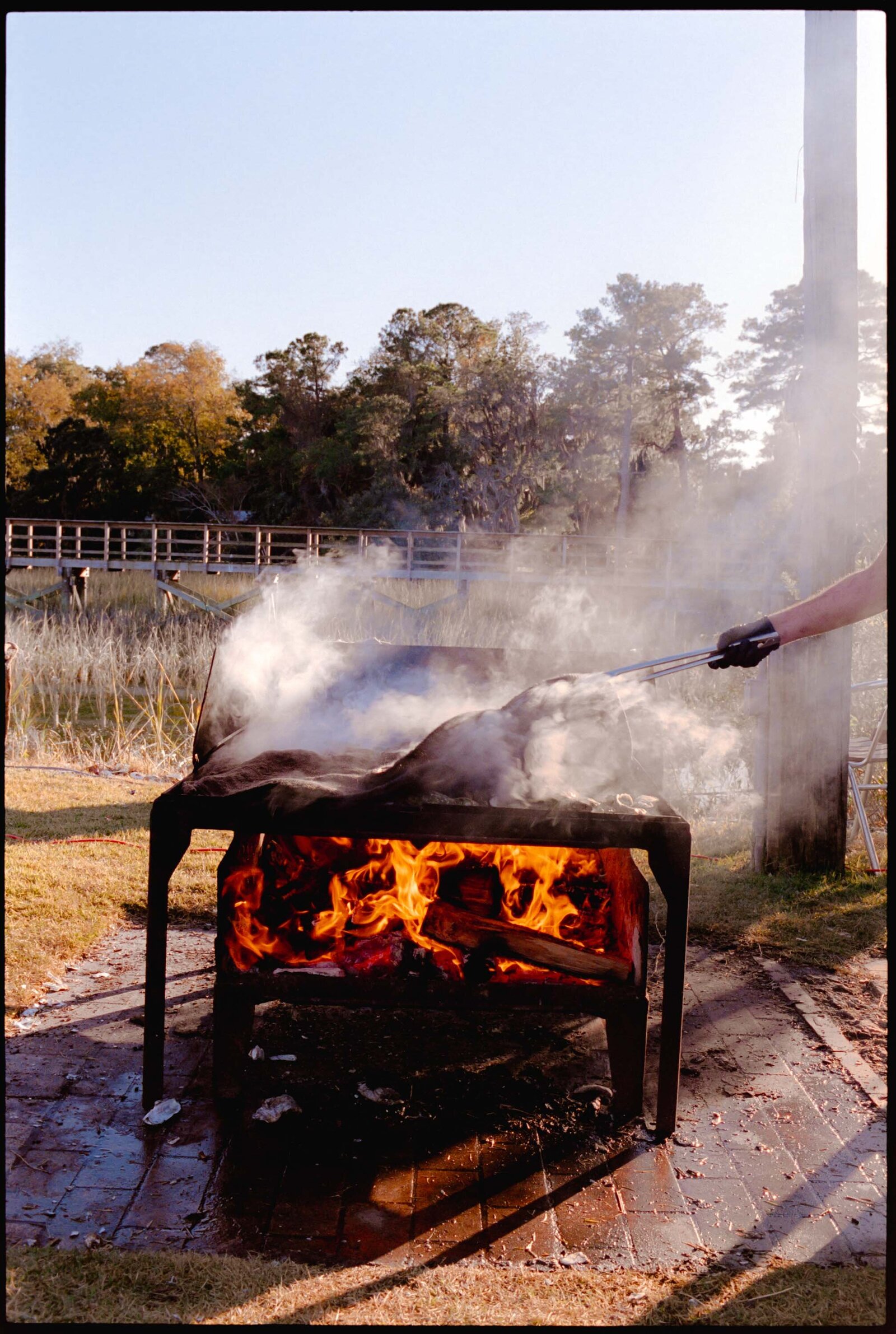 coastal-colorful-wedding-film-photos-jess-buckley-44