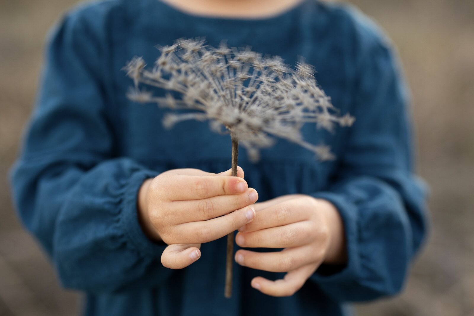 child hands flower