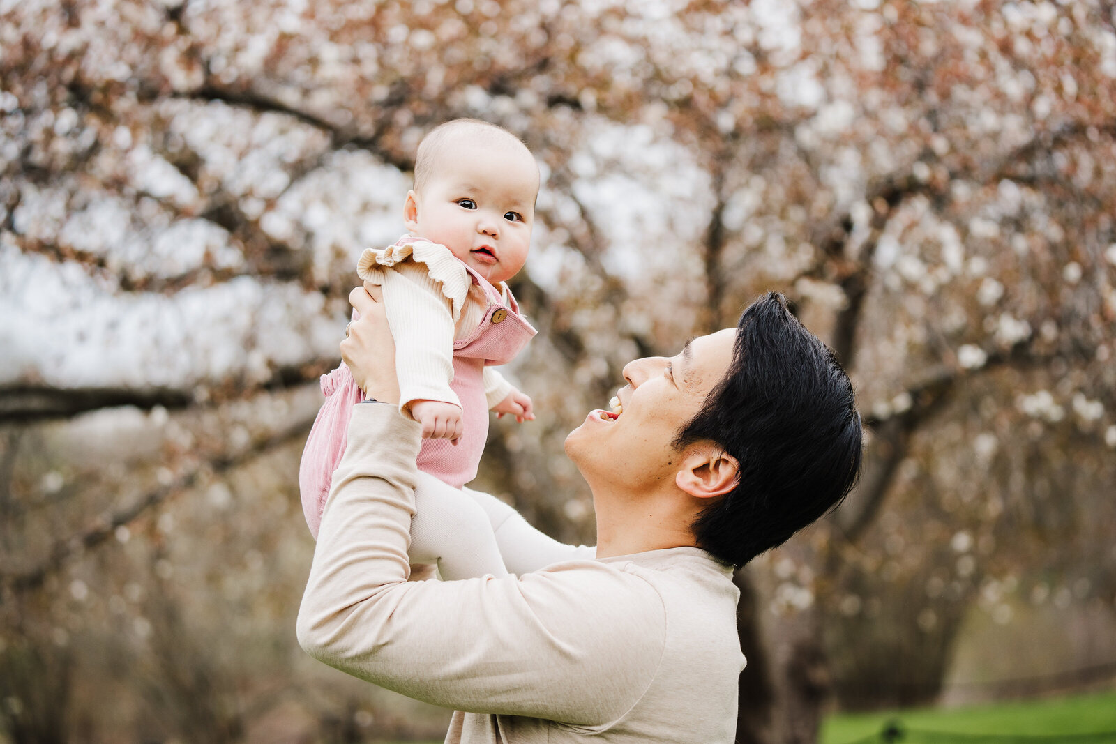 dad holds daughter above head in cherry blossoms in boston
